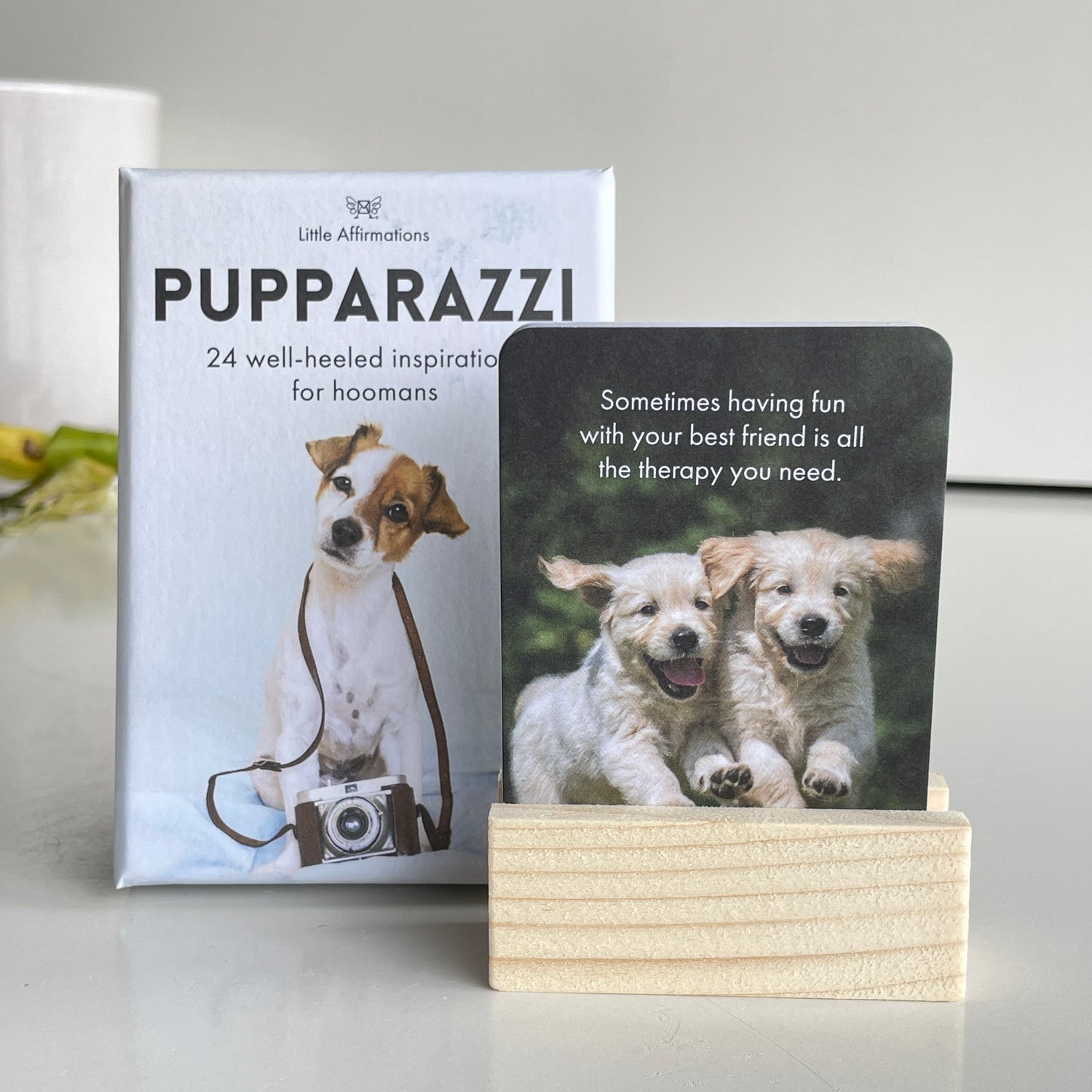 Pupparazzi Little Affirmations DPZ.