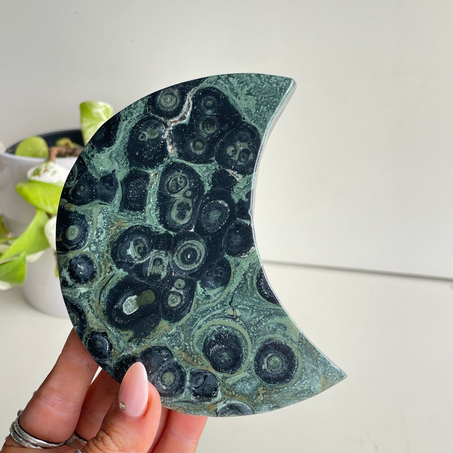 Kambaba Jasper Moon 12.2cm