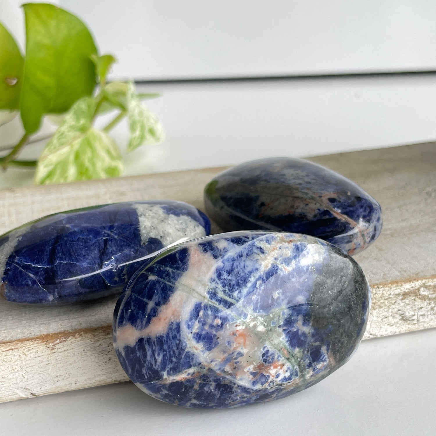Sodalite Palmstone Large