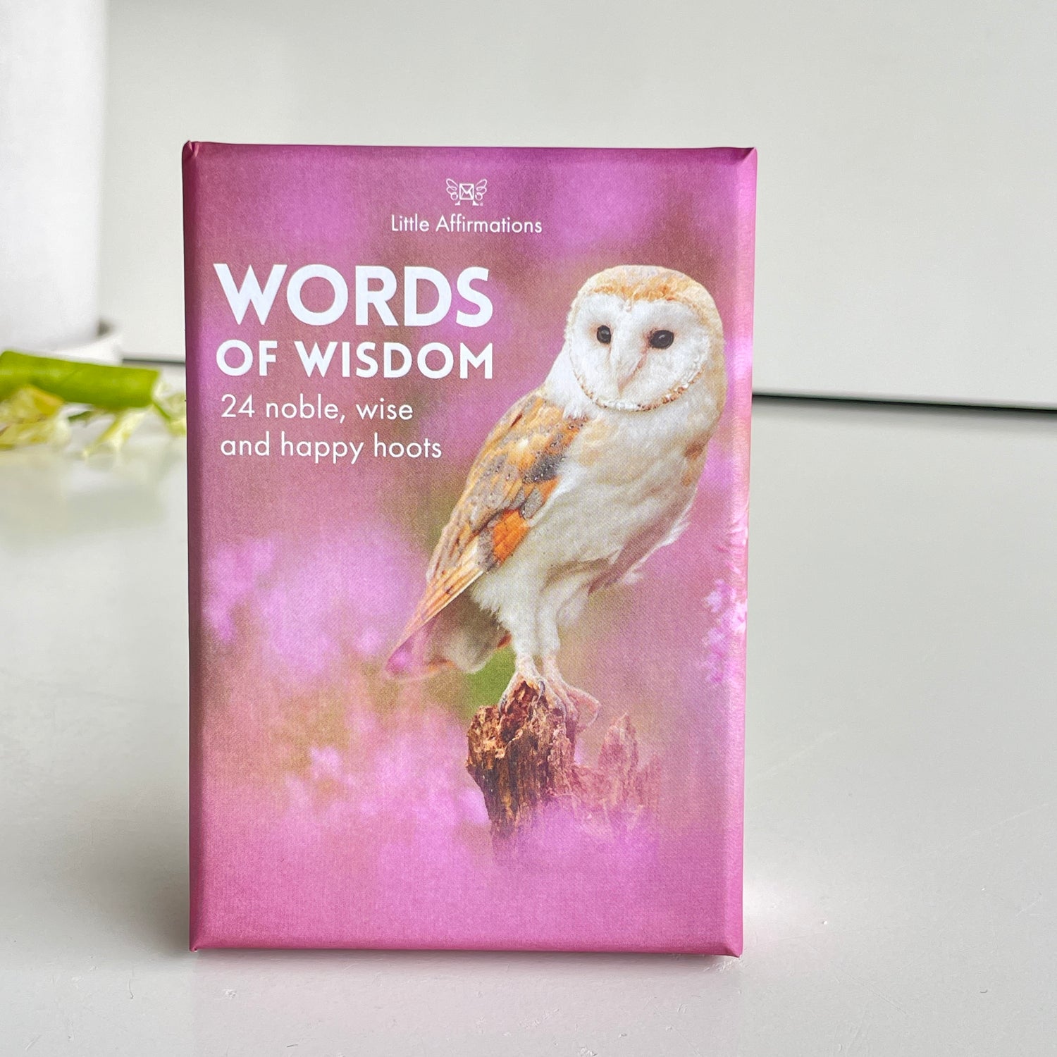 Words Of Wisdom Little Affirmations DWW.