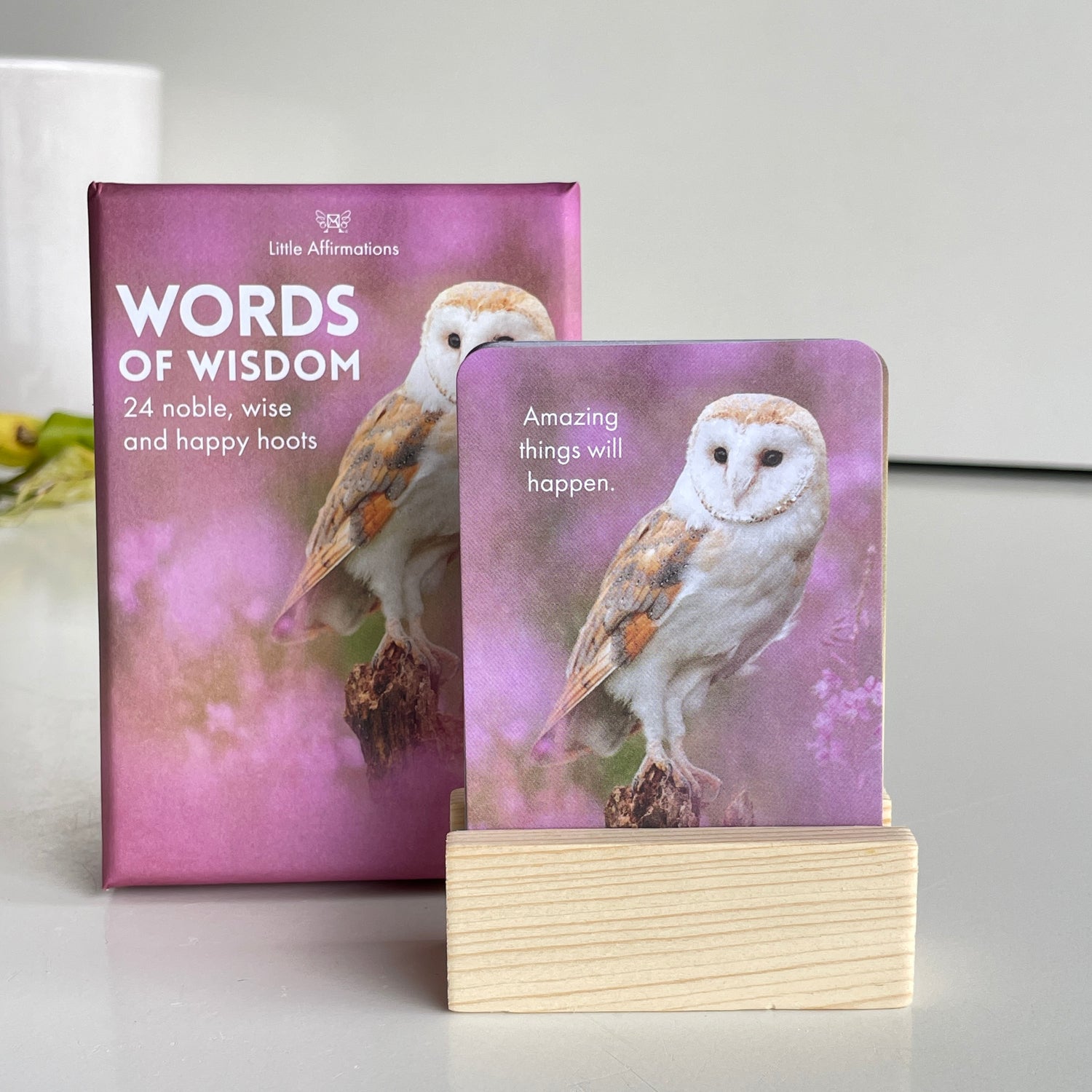 Words Of Wisdom Little Affirmations DWW.