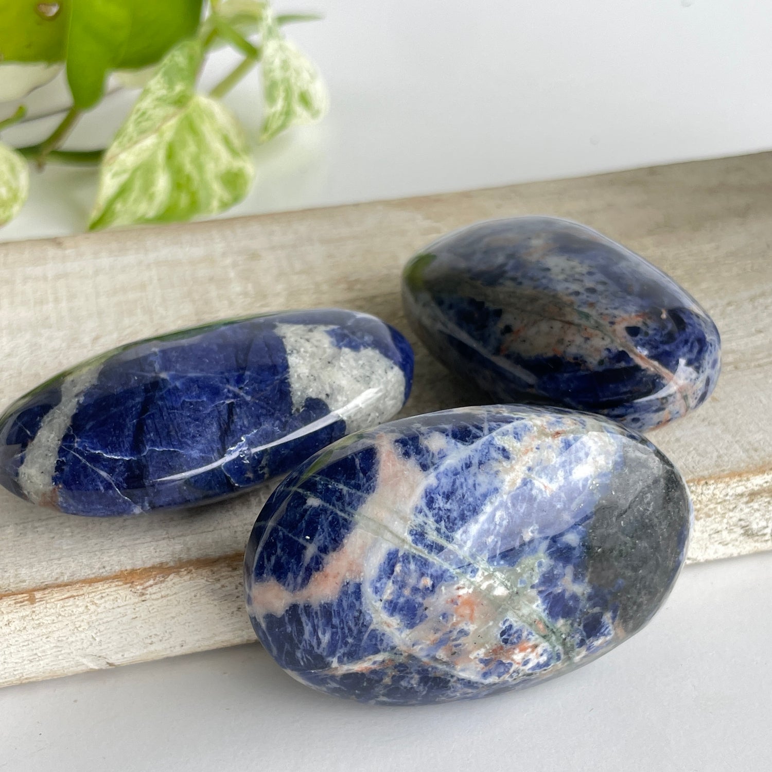 Sodalite Palmstone Large
