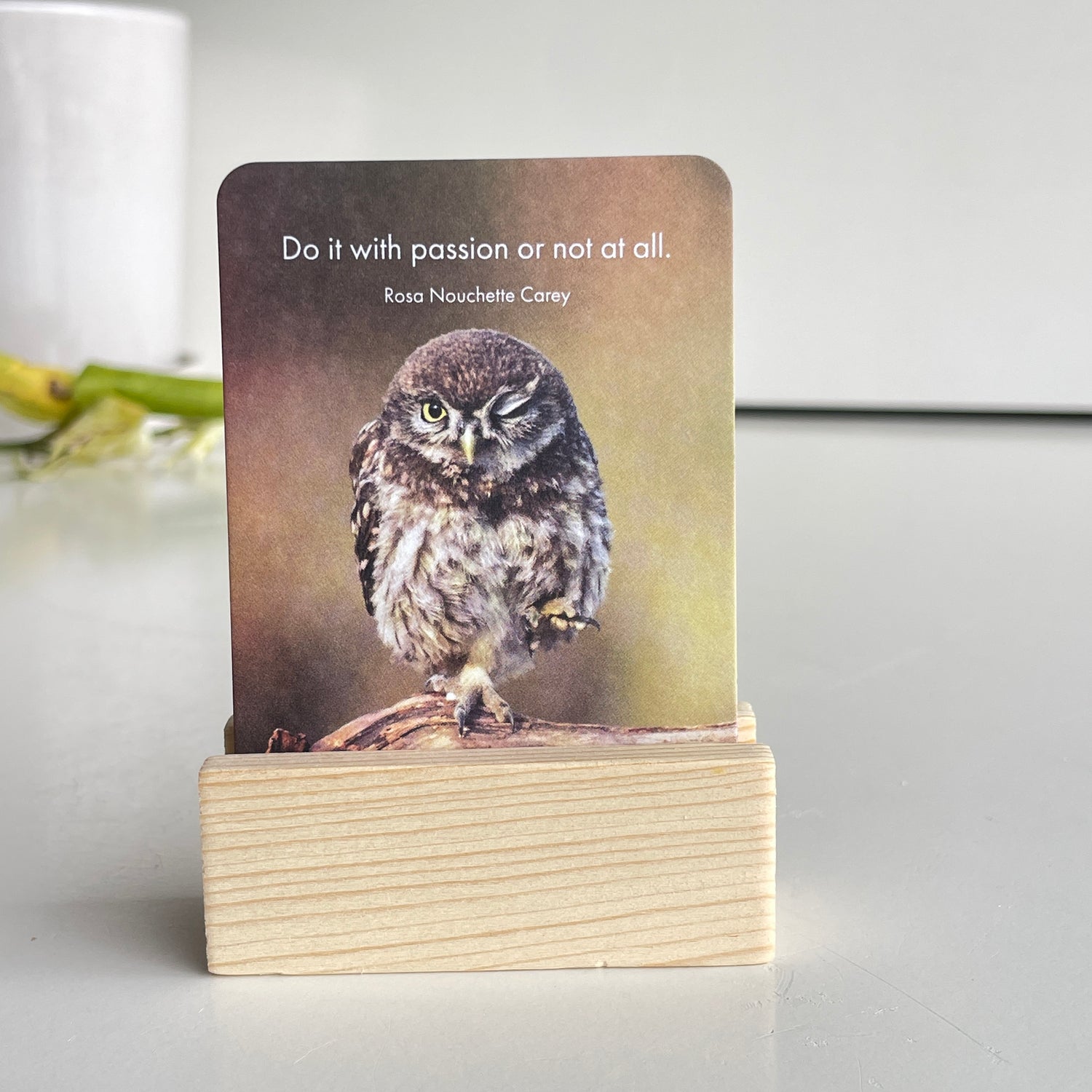 Words Of Wisdom Little Affirmations DWW.
