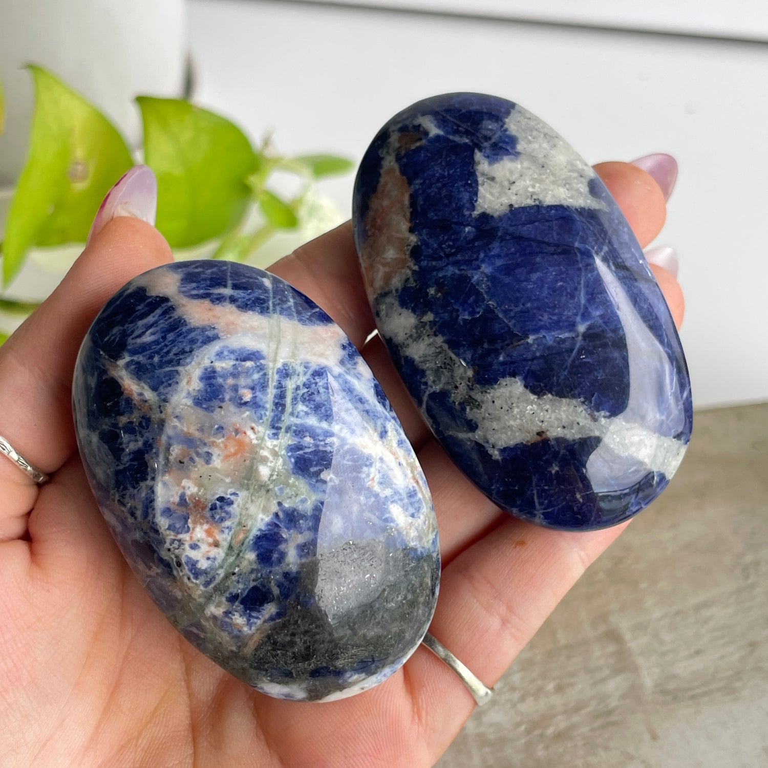 Sodalite Palmstone Large
