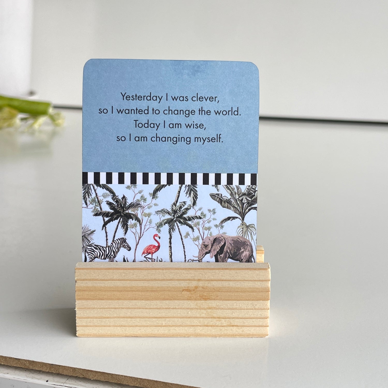 Thoughts of Rumi Affirmation Cards DRU