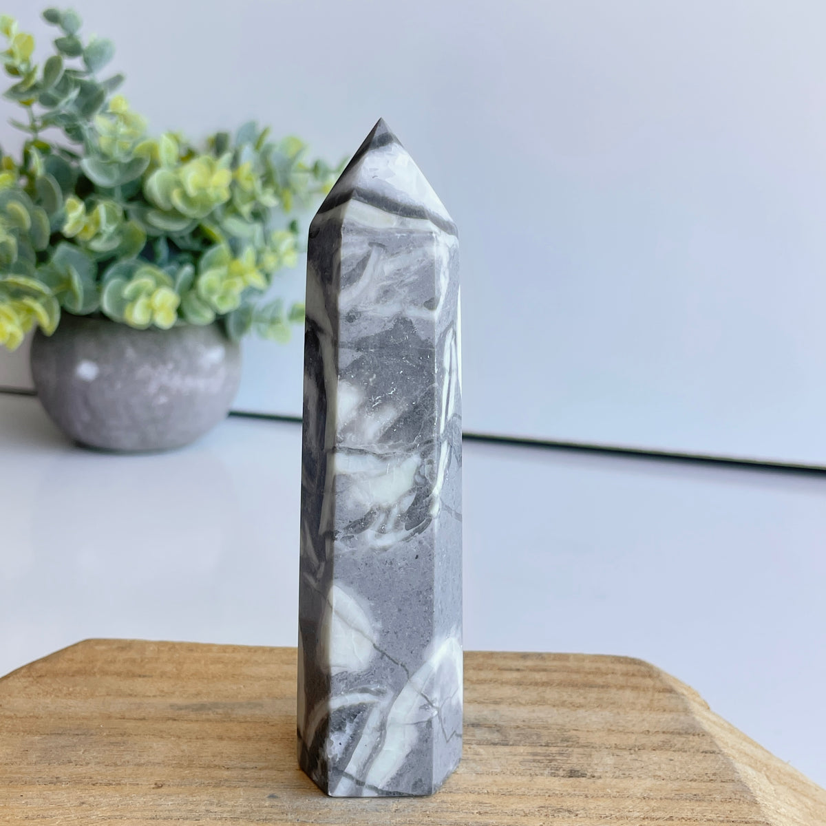 Shell Jasper Generator 12cm