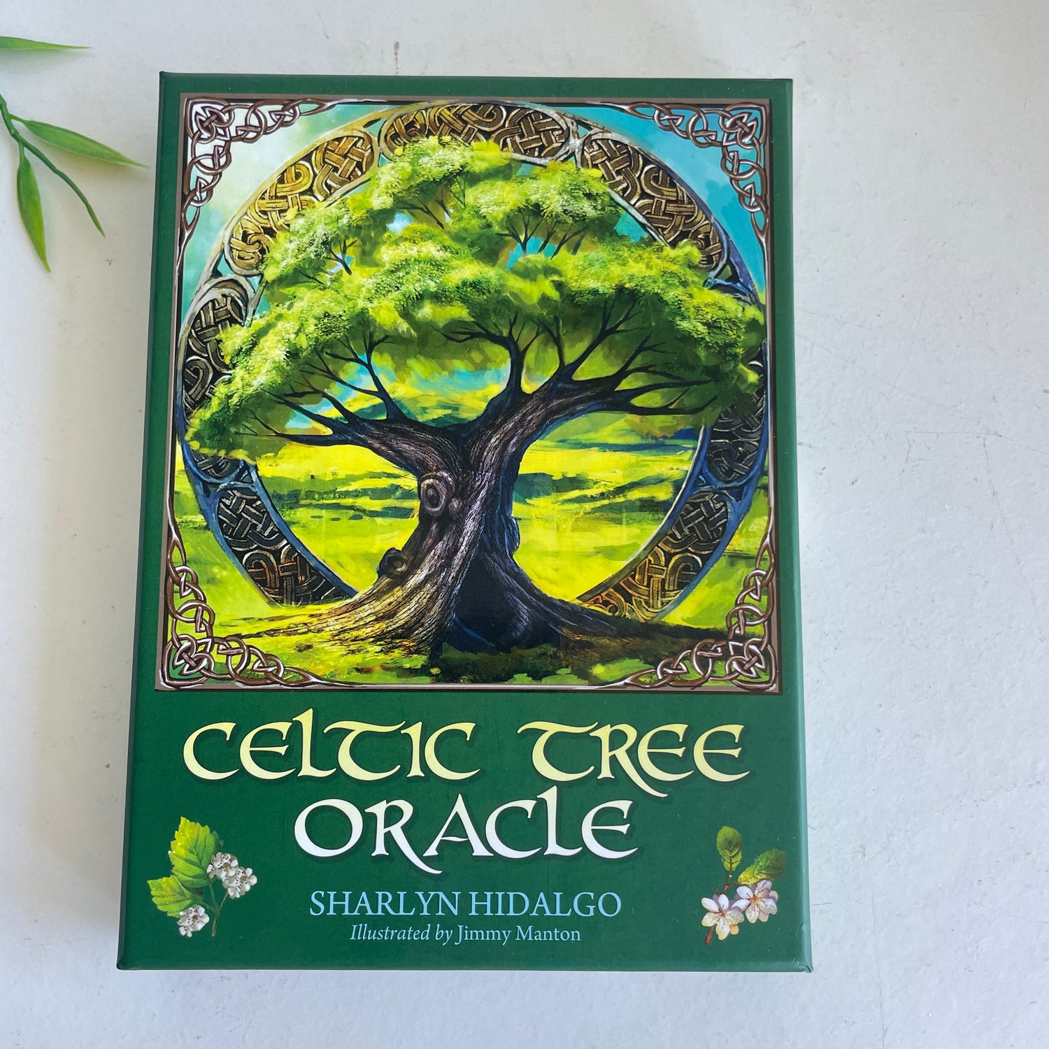 Celtic Tree Oracle Cards Sharlyn Hidalgo