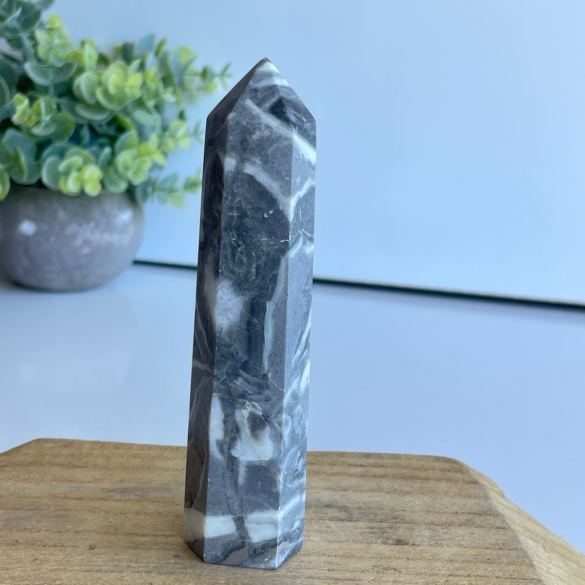 Shell Jasper Generator 12cm