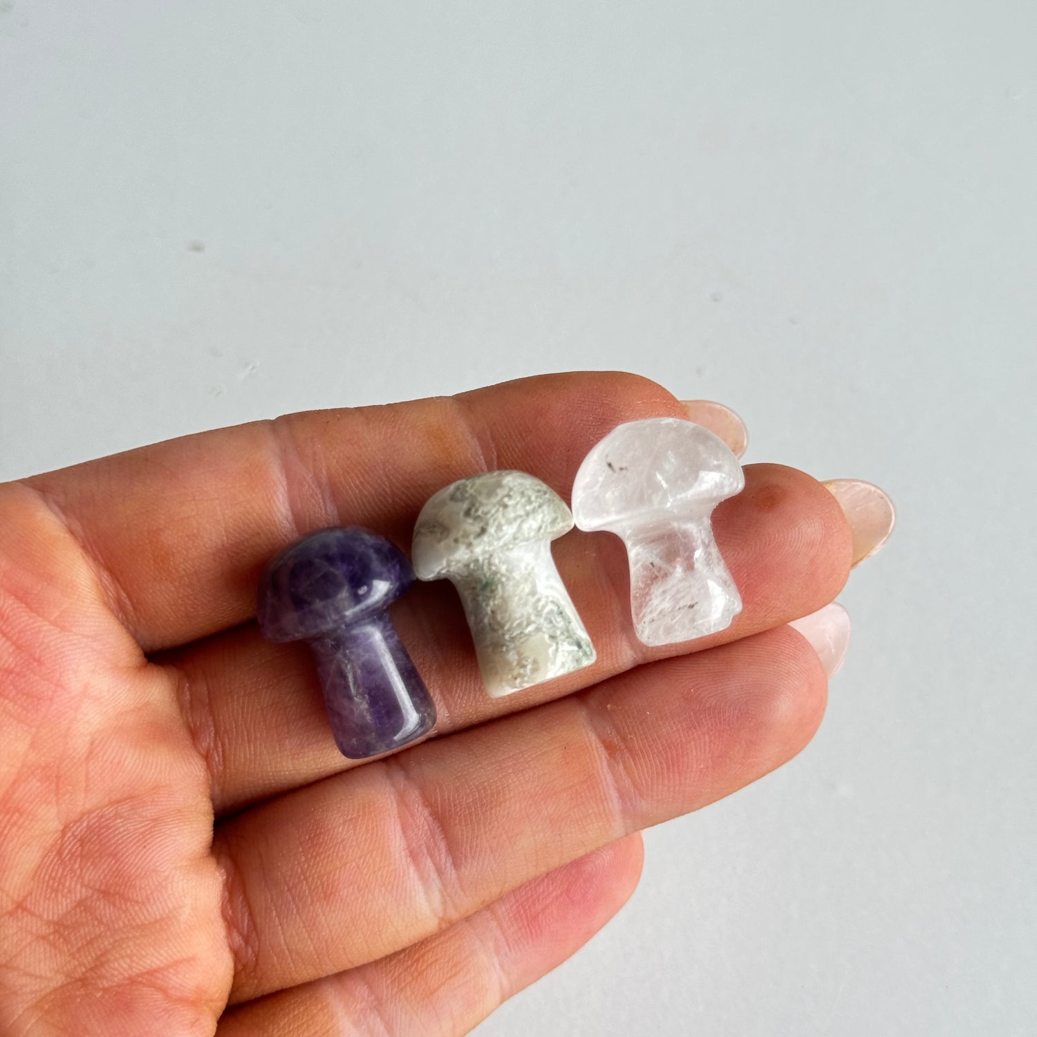 Mini Mushroom Assorted
