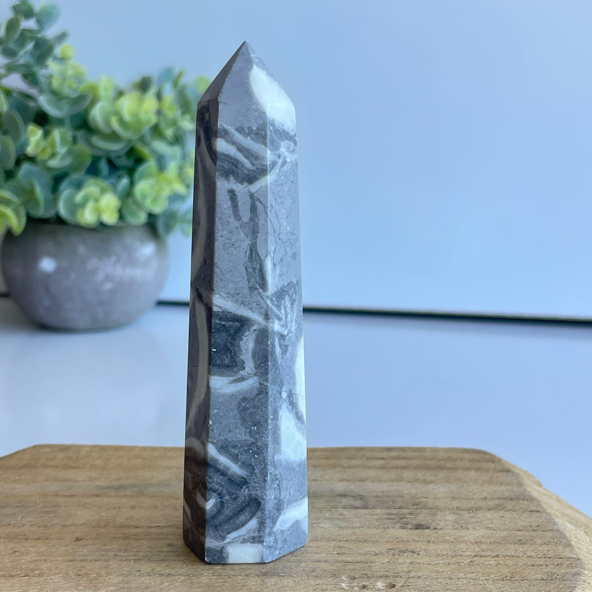 Shell Jasper Generator 11cm