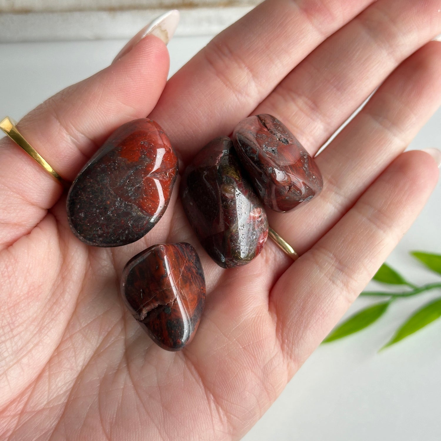Mary Ellen Stromatolite