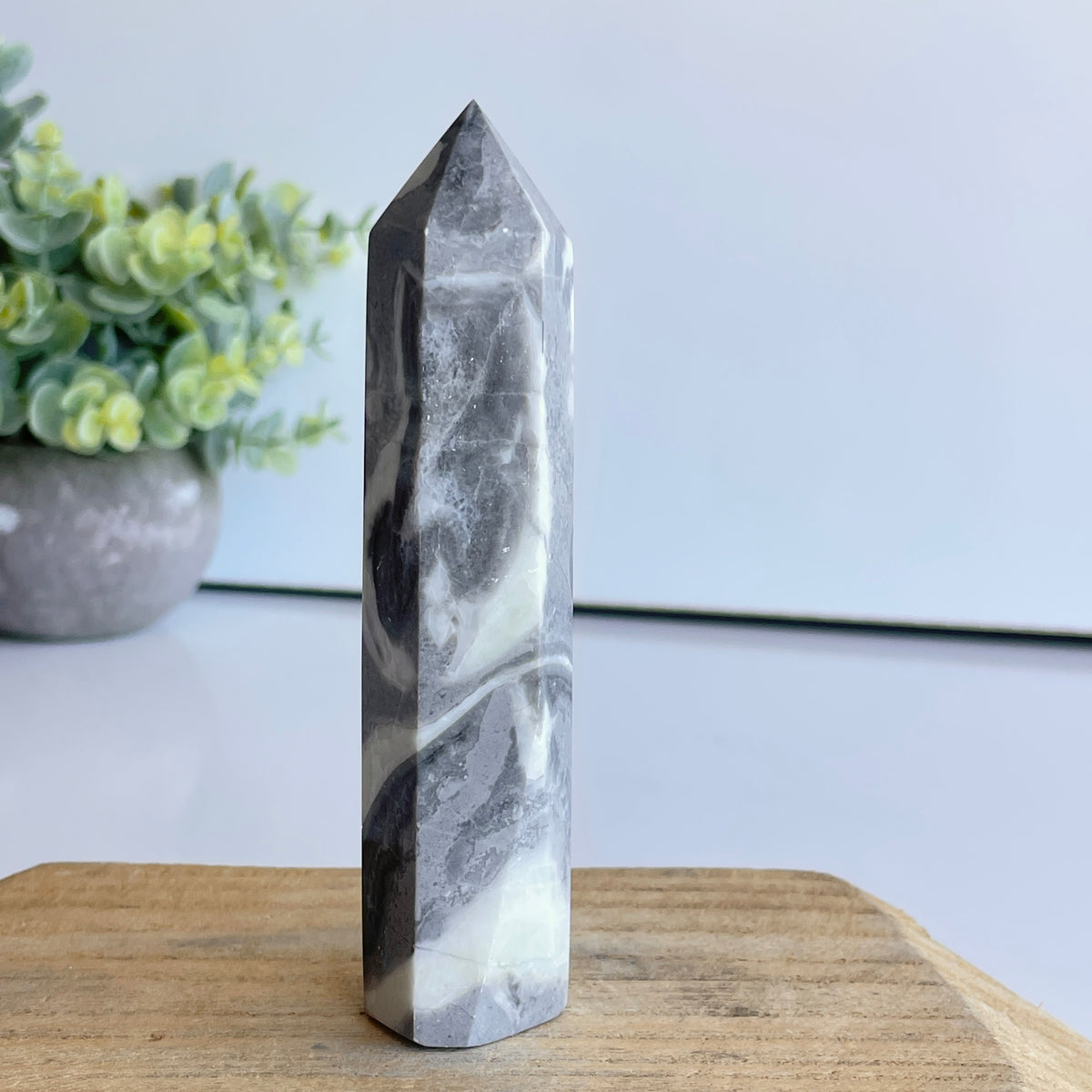 Shell Jasper Generator 12cm