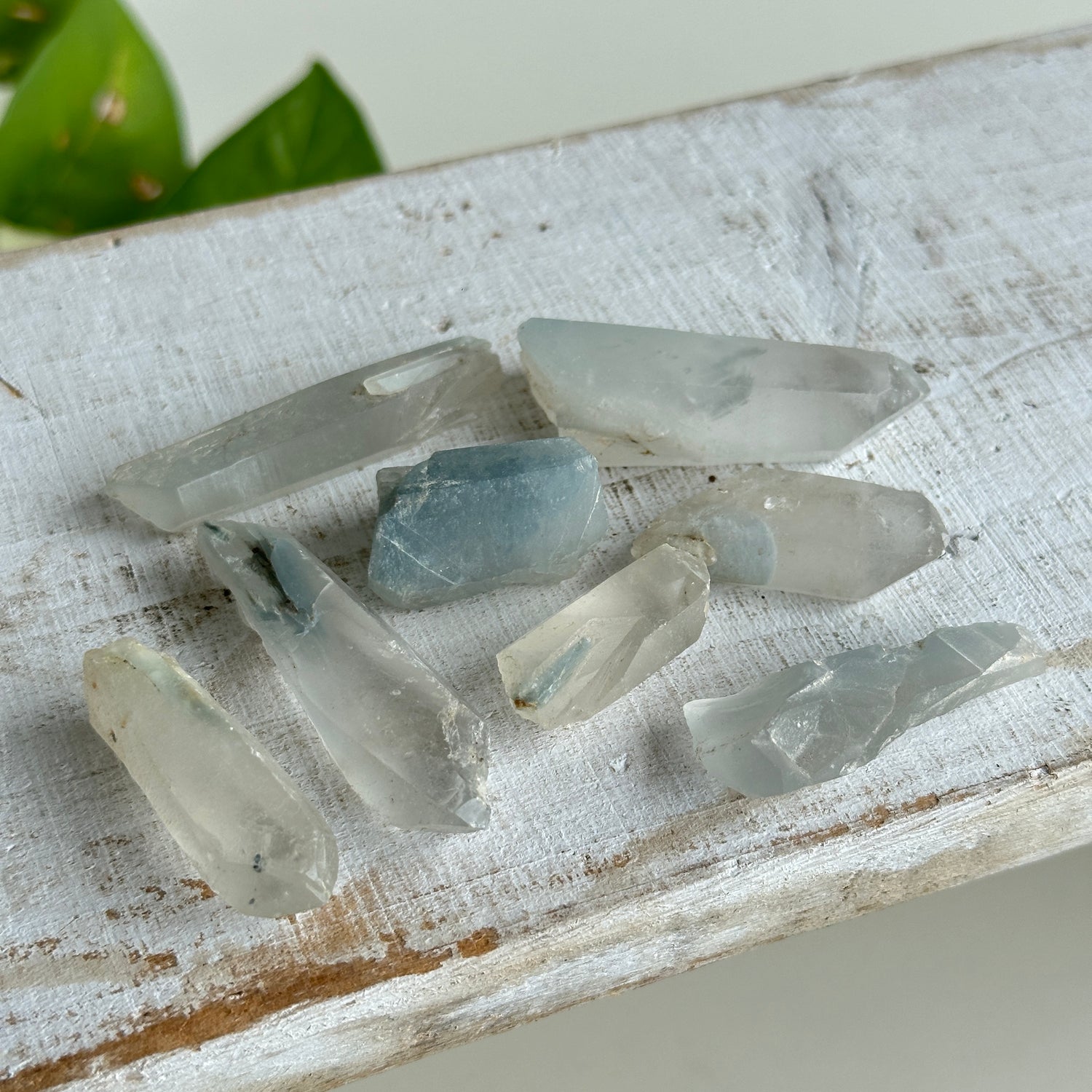 Blue Amphibole Points Lge
