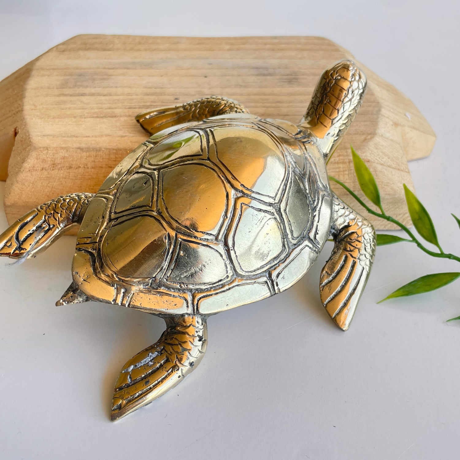 Brass Turtle Med BR18B