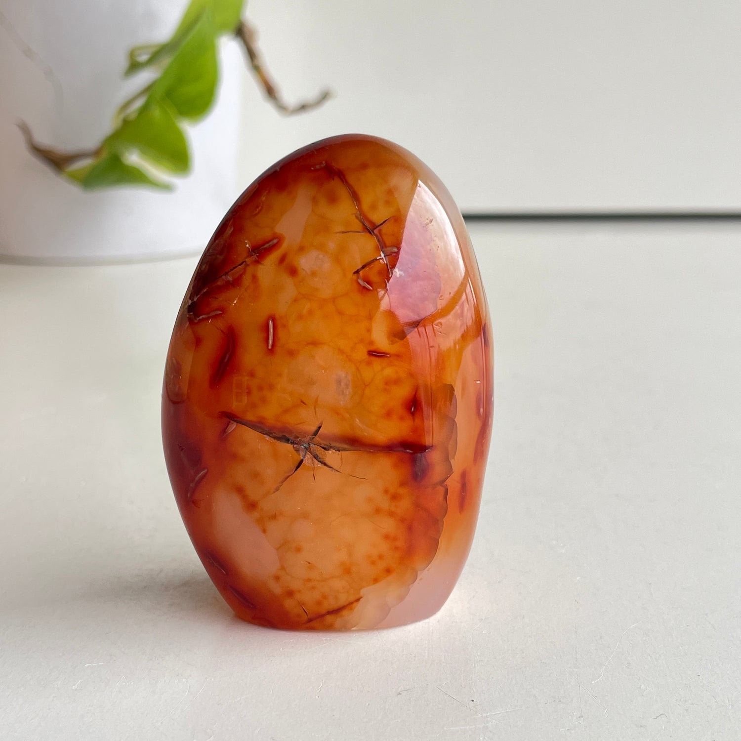 Carnelian Freeform 7.2cm