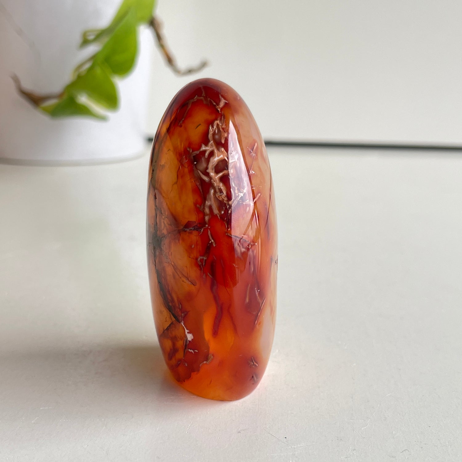 Carnelian Freeform 7.2cm