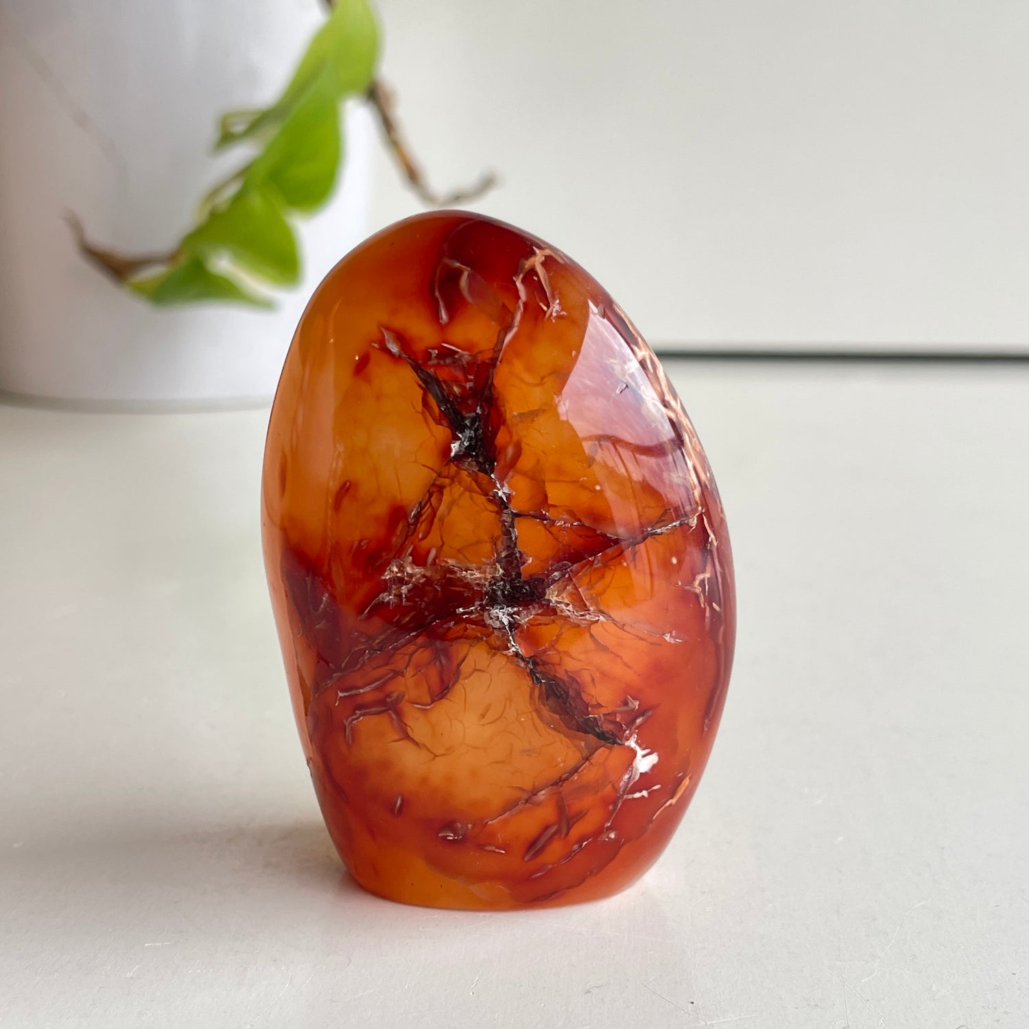 Carnelian Freeform 7.2cm