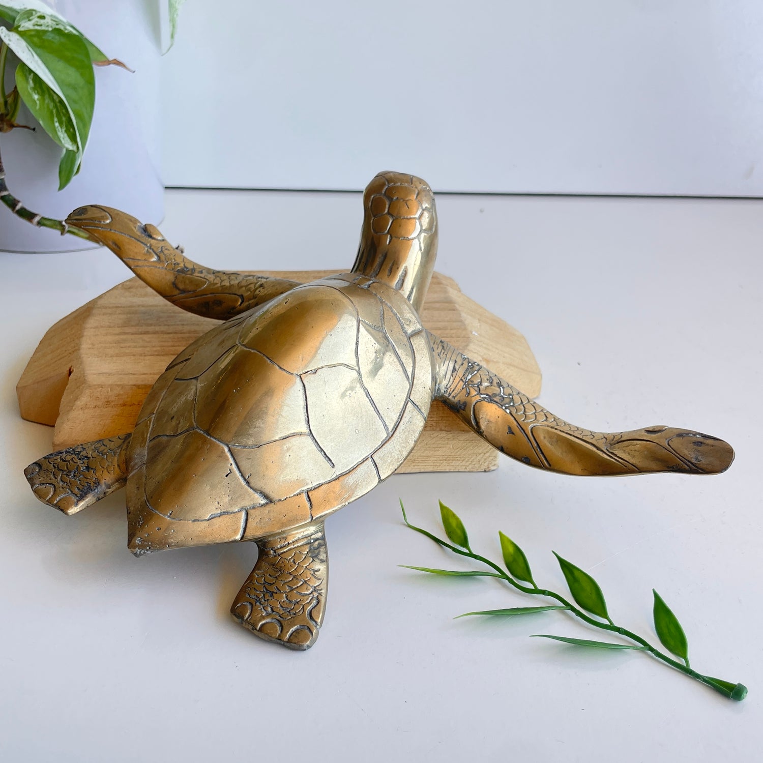 Brass Turtle Lge BR18B