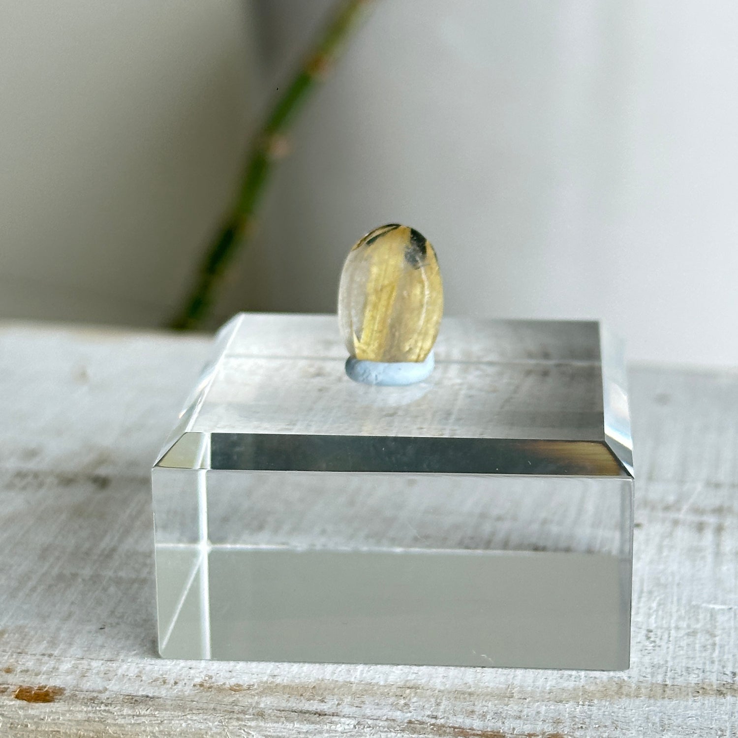 Rutilated Quartz Oval Pc