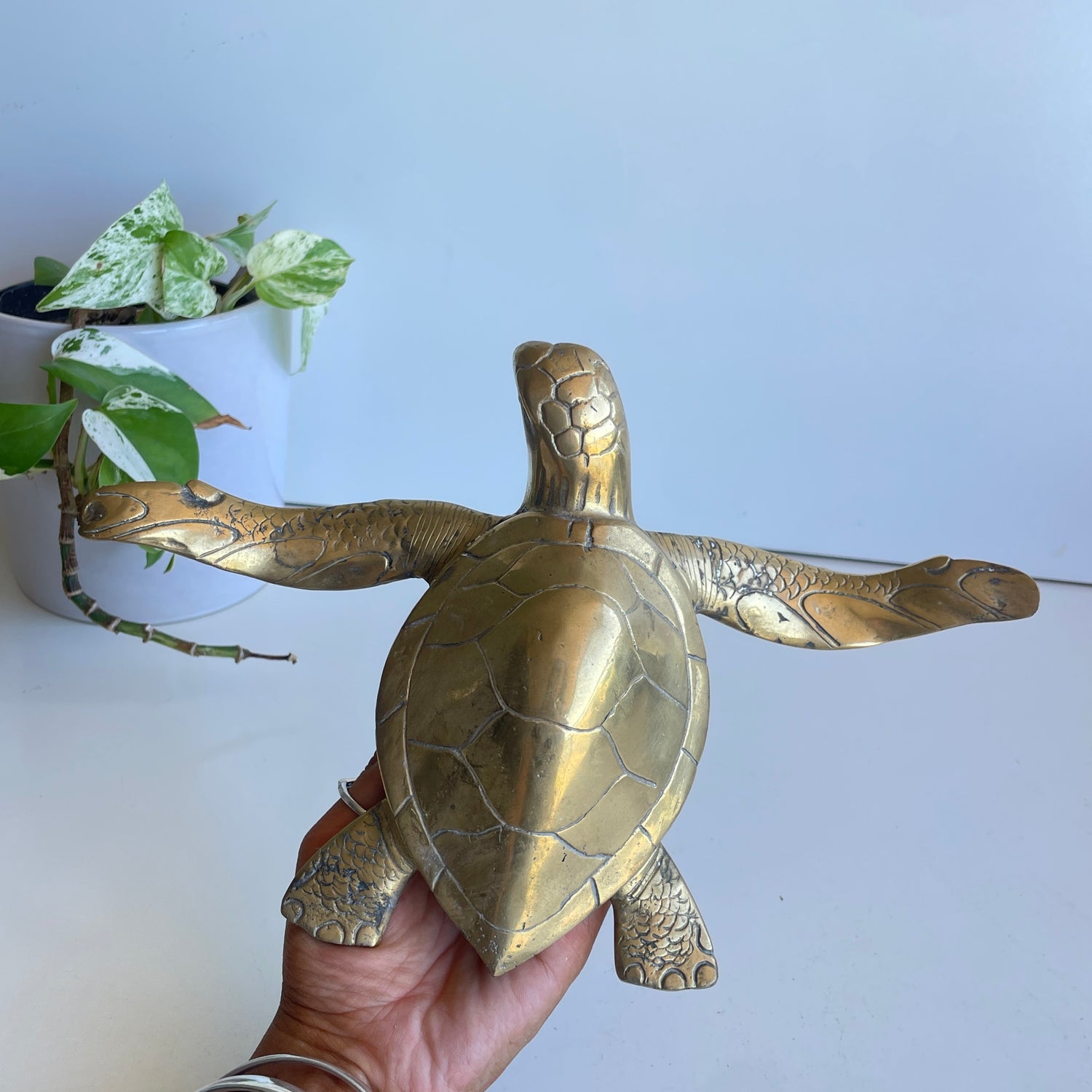 Brass Turtle Lge BR18B