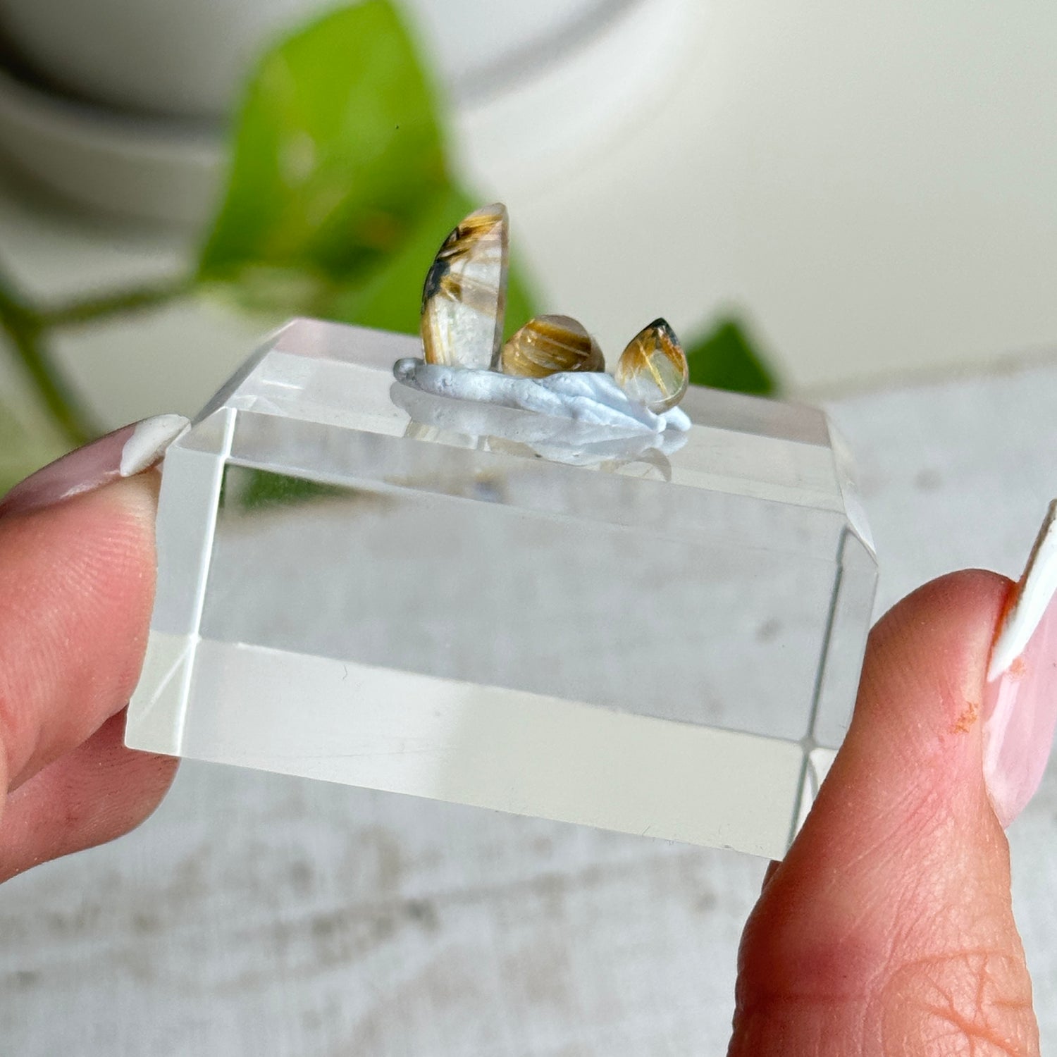 Rutilated Quartz Pcs