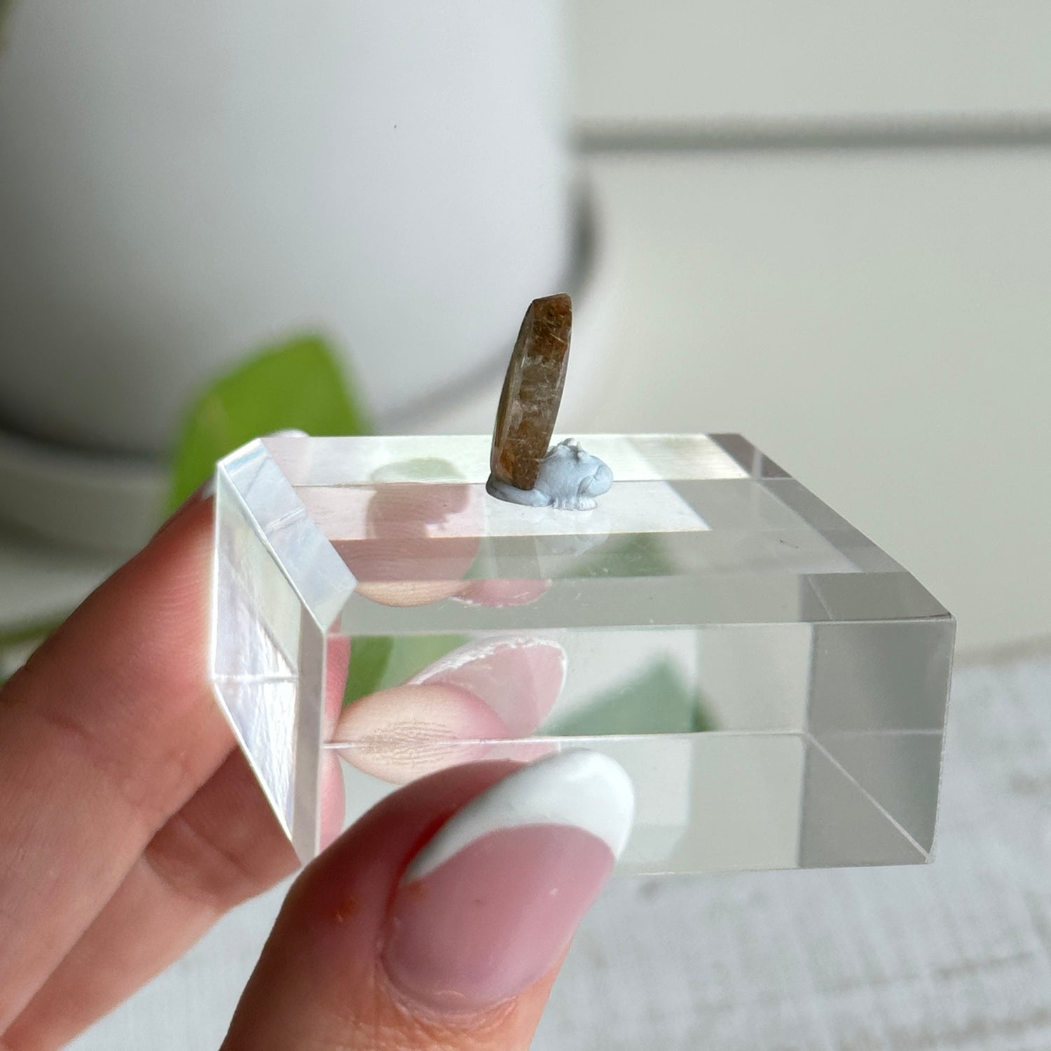 Rutilated Quartz Oval Pc
