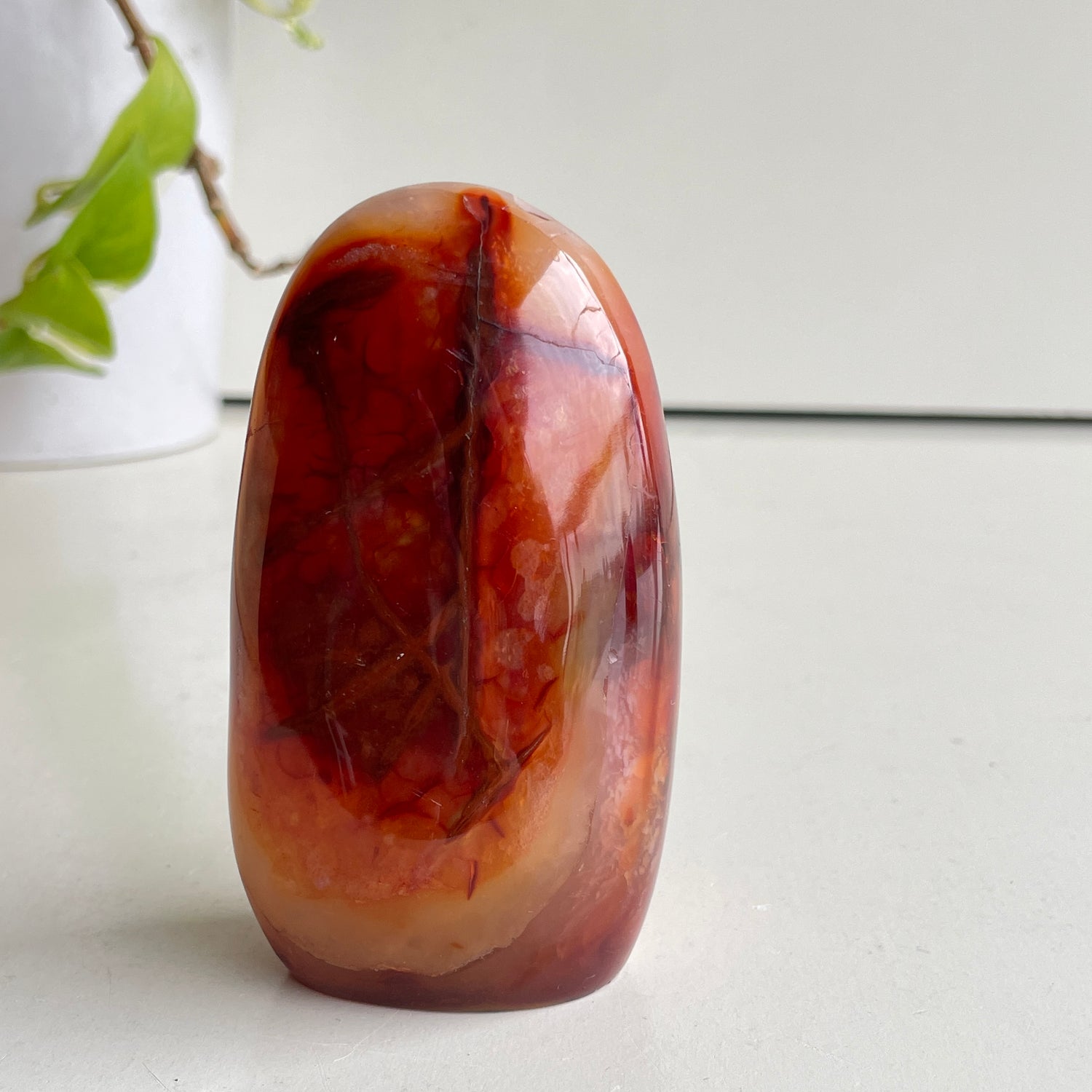 Carnelian Freeform 9.5cm