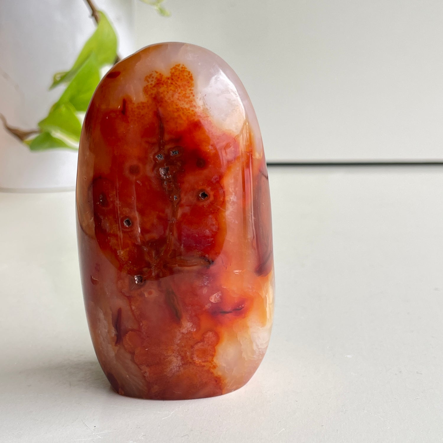 Carnelian Freeform 9.5cm