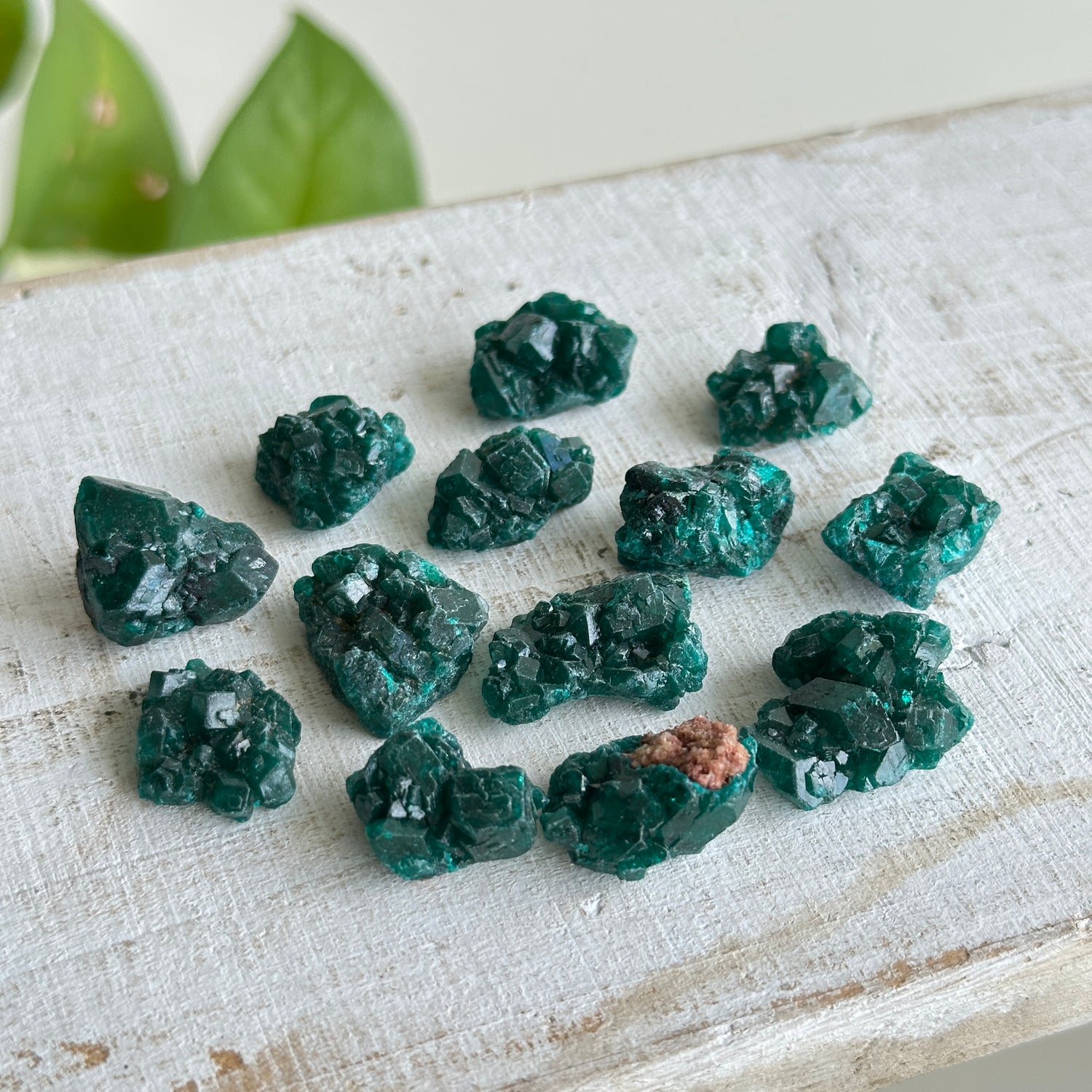 Dioptase Mini Pce