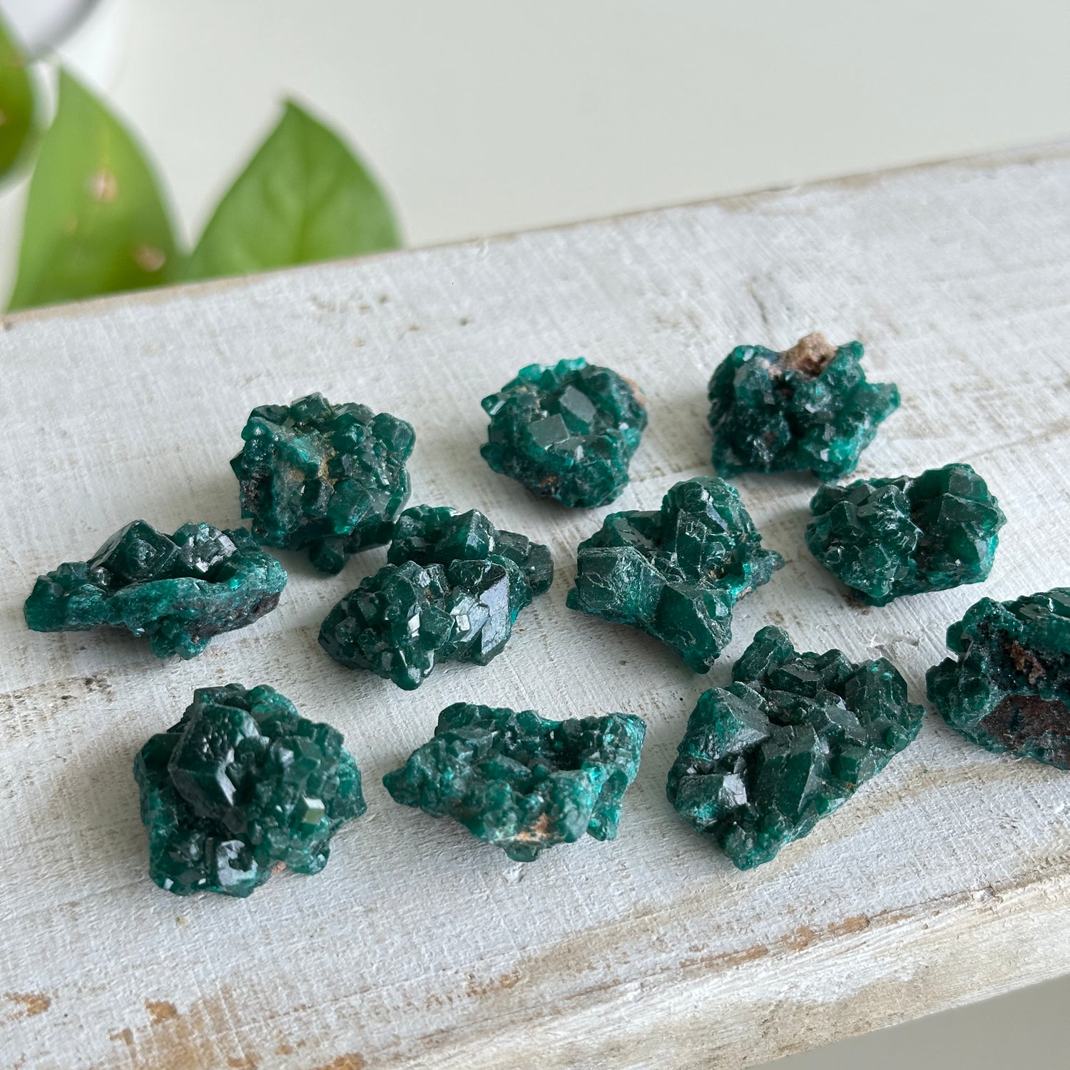 Dioptase Small Pce