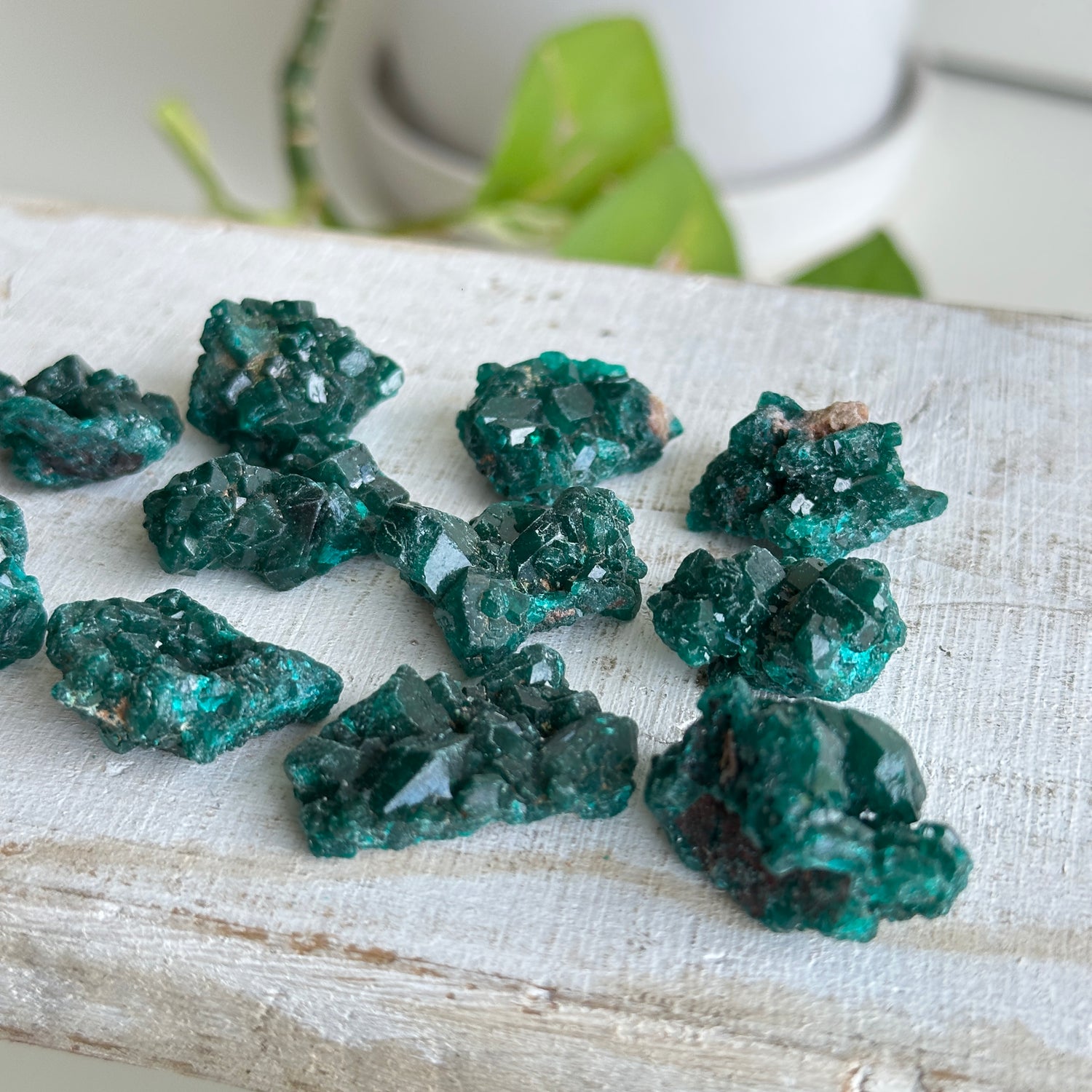 Dioptase Small Pce