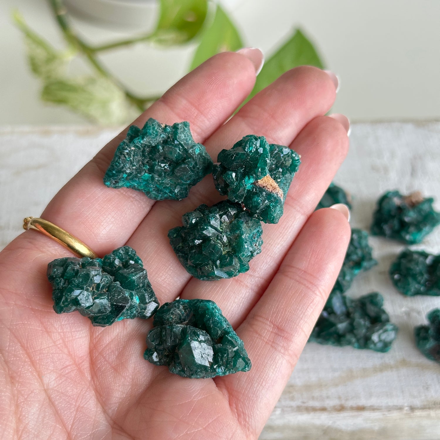 Dioptase Small Pce