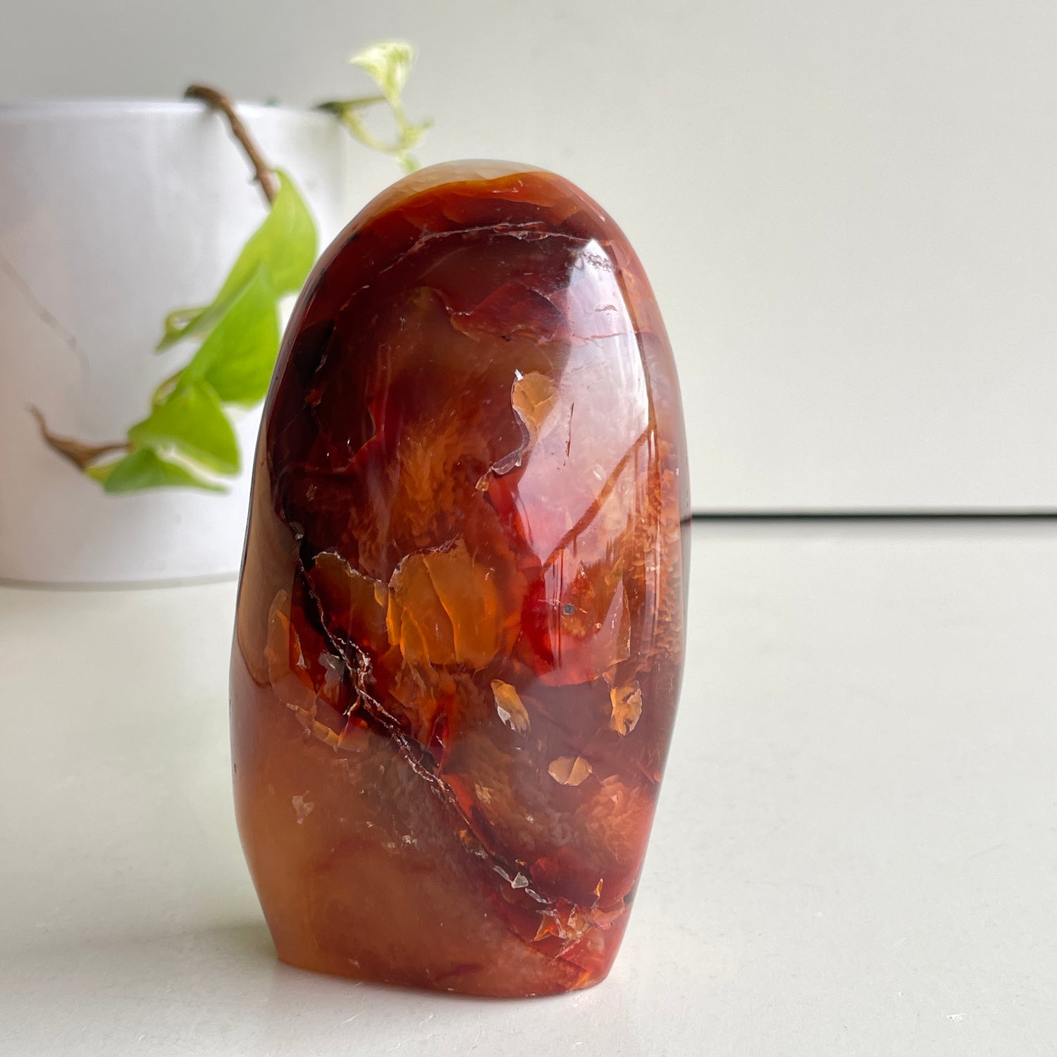 Carnelian Freeform 11cm