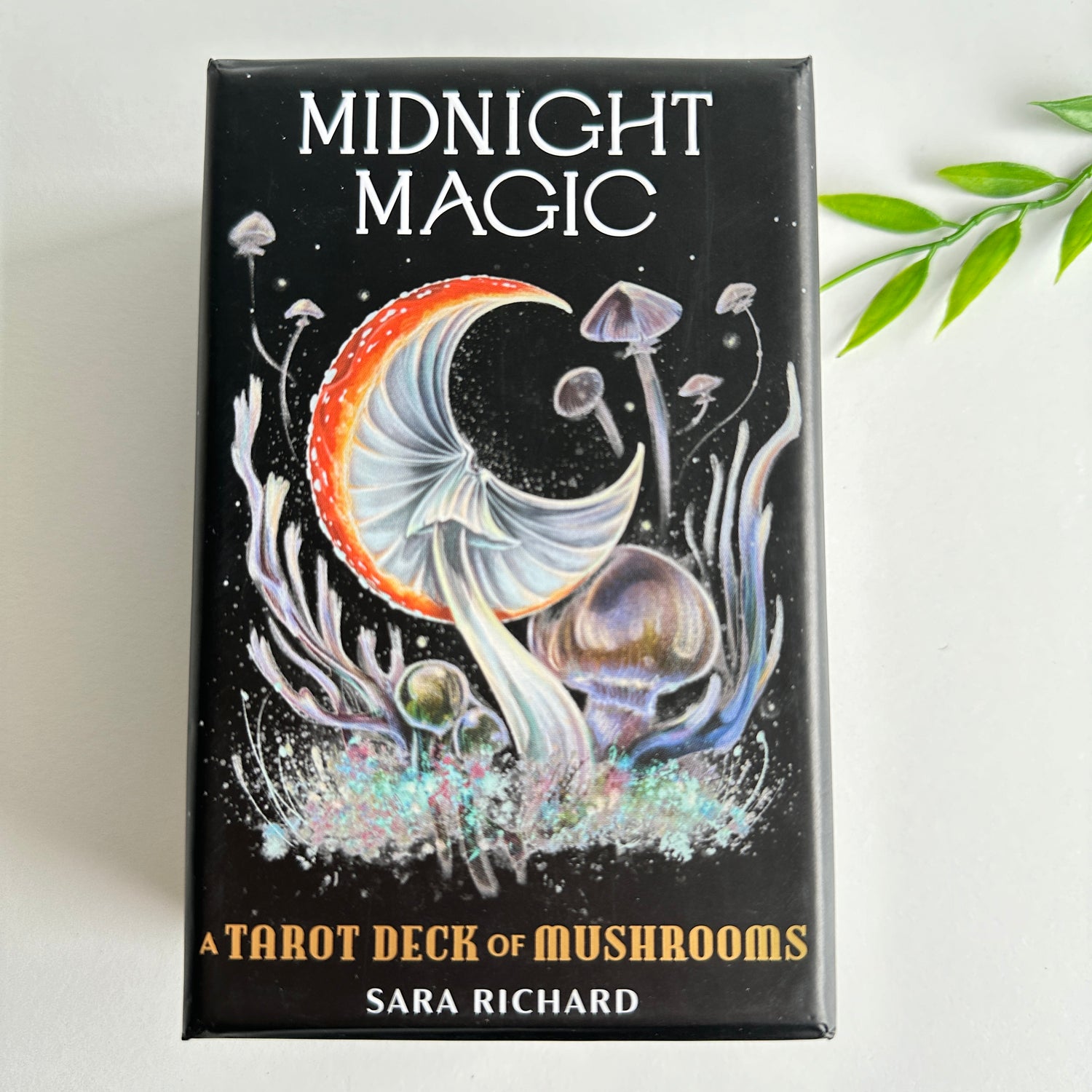 Midnight Magic Tarot Sara Richard
