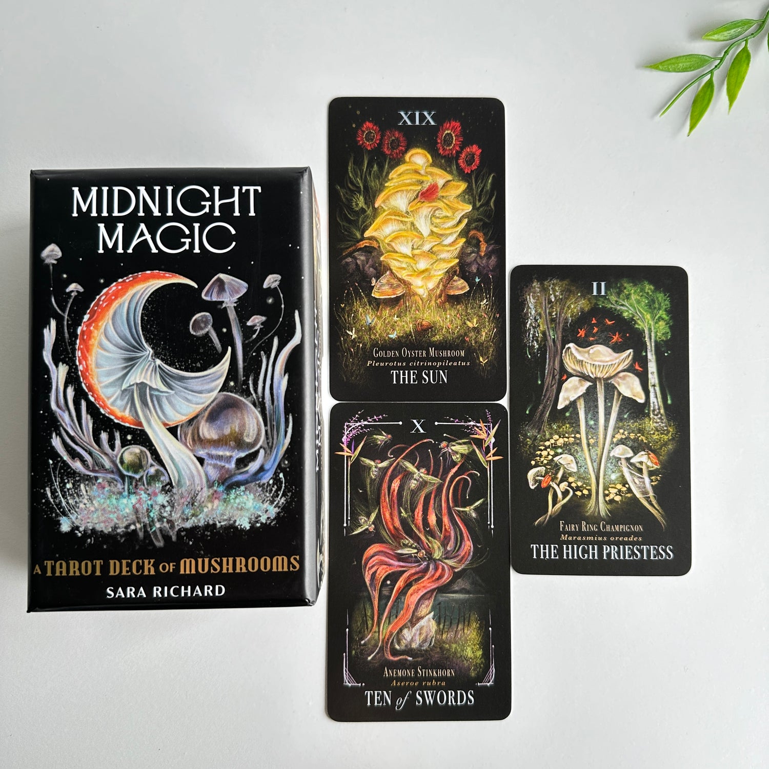 Midnight Magic Tarot Sara Richard
