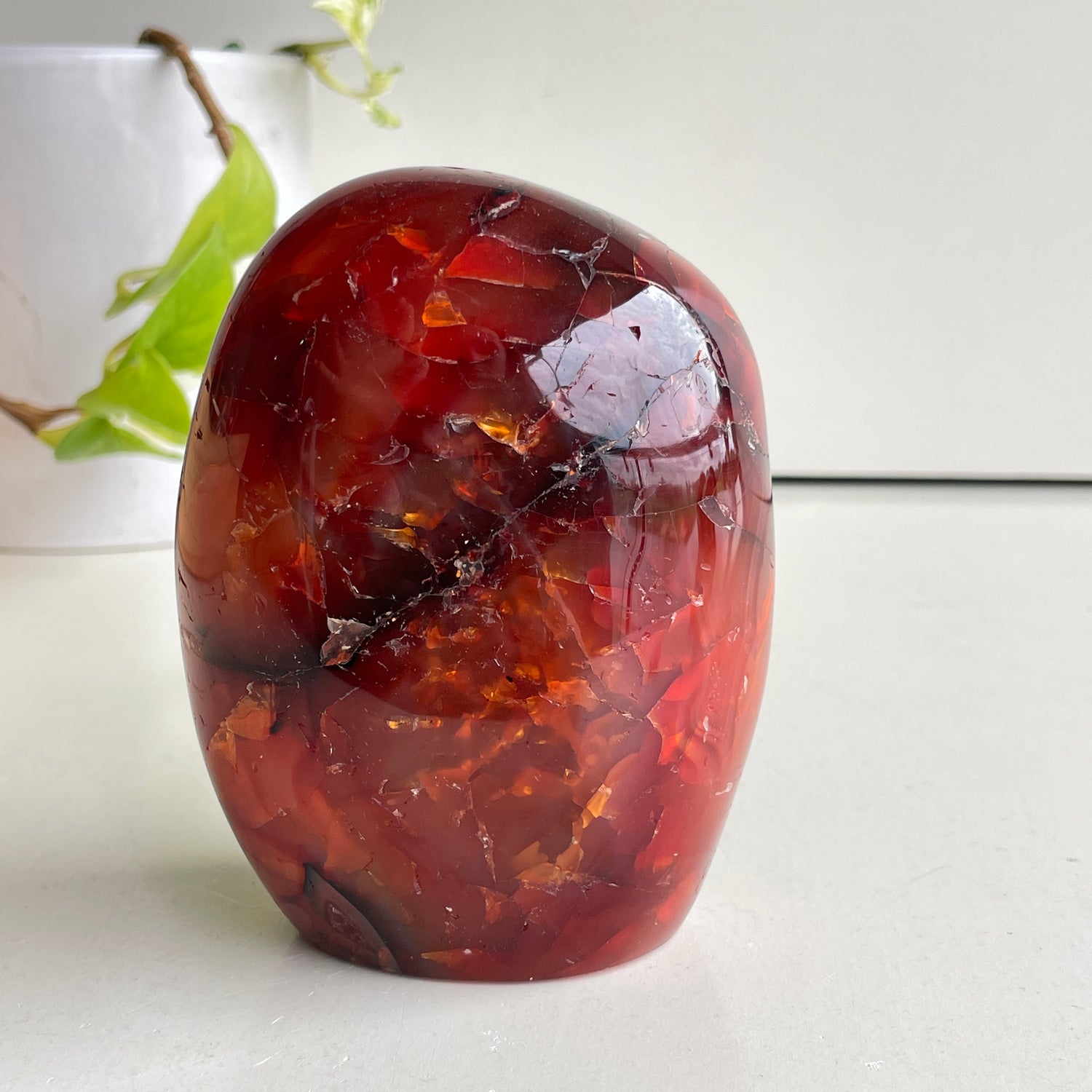 Carnelian Freeform 11.2cm