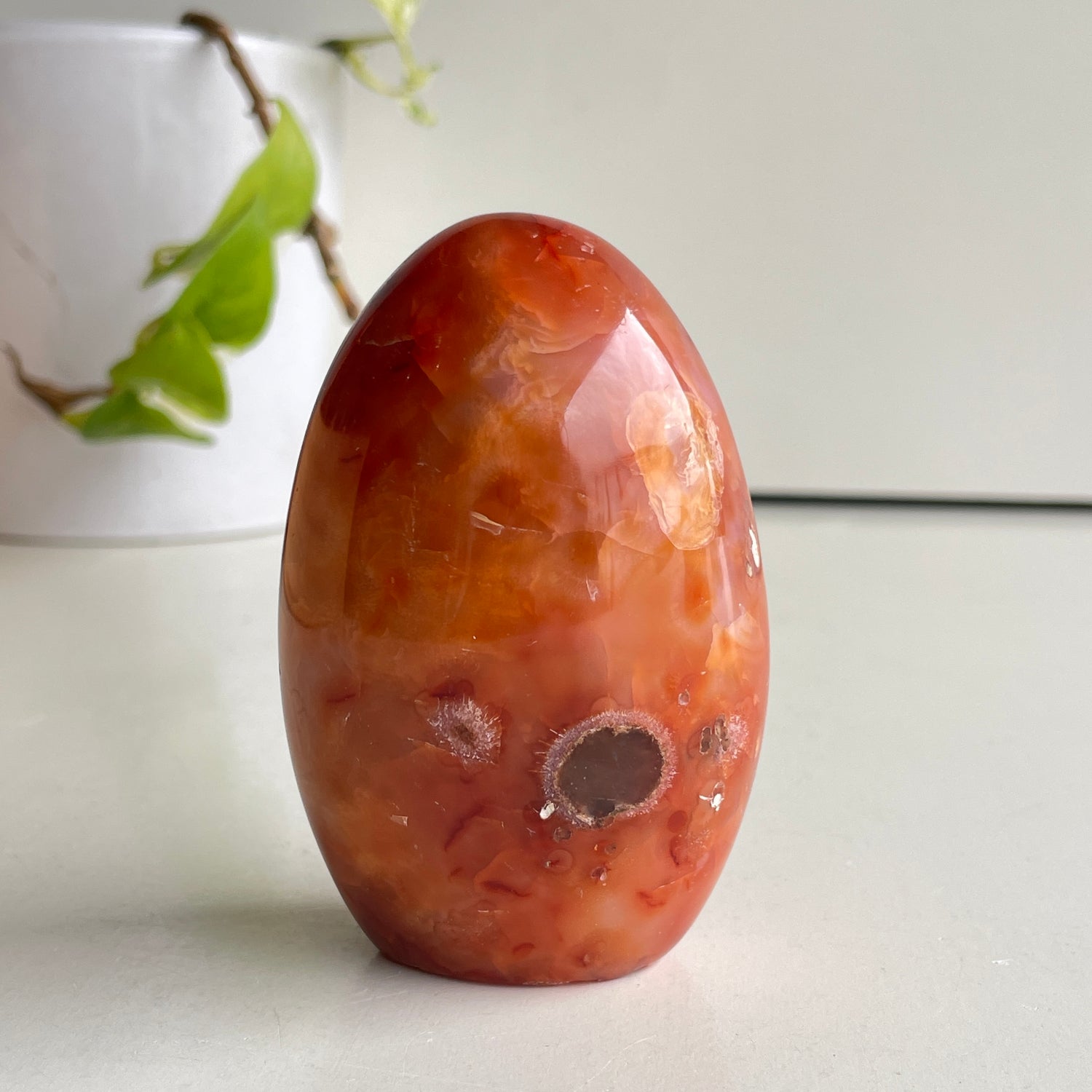 Carnelian Freeform 8.6cm