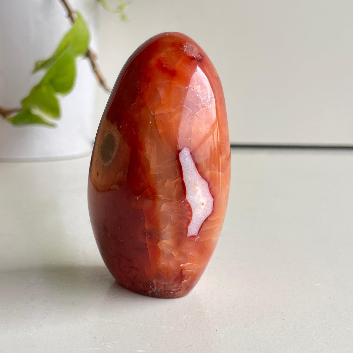 Carnelian Freeform 8.6cm