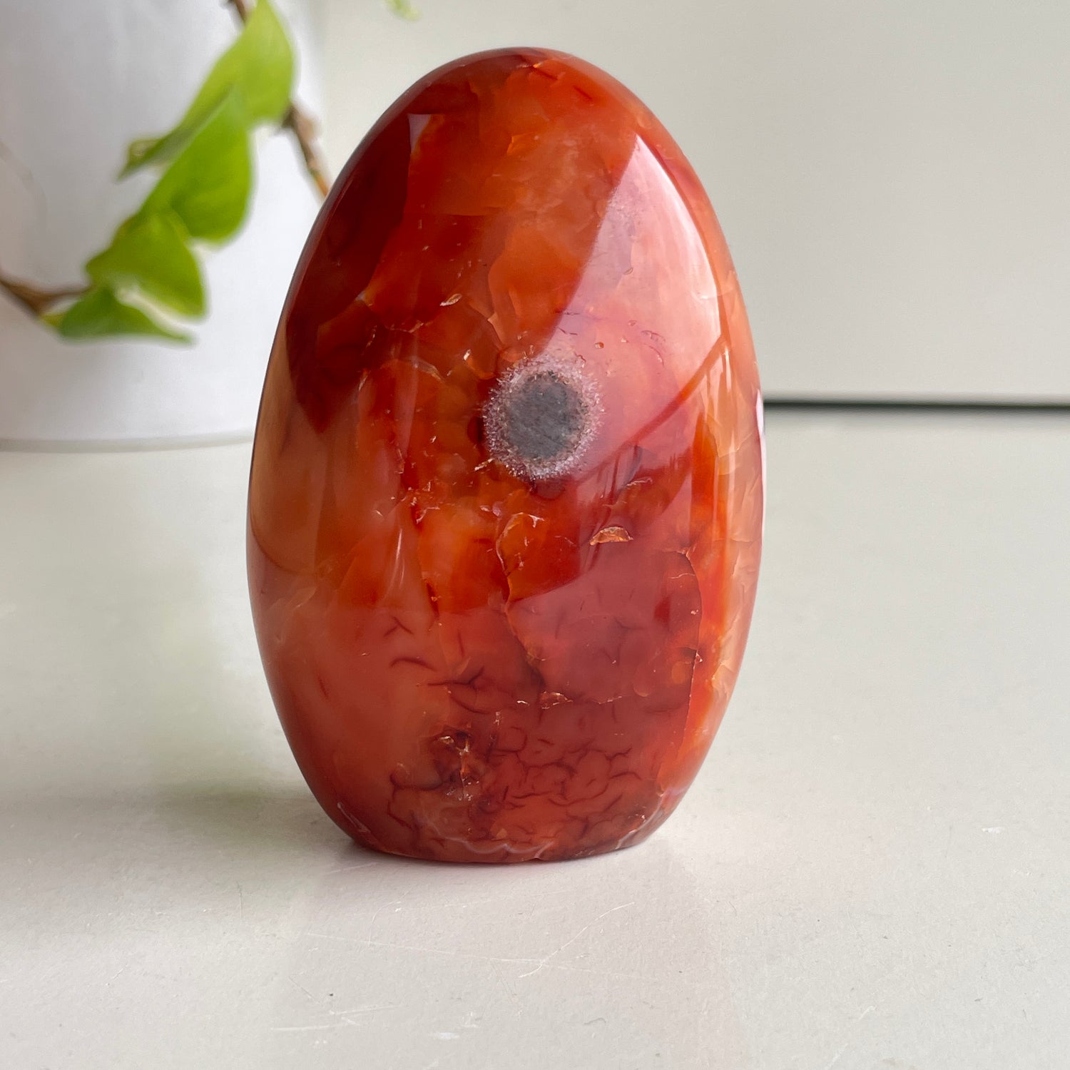 Carnelian Freeform 8.6cm
