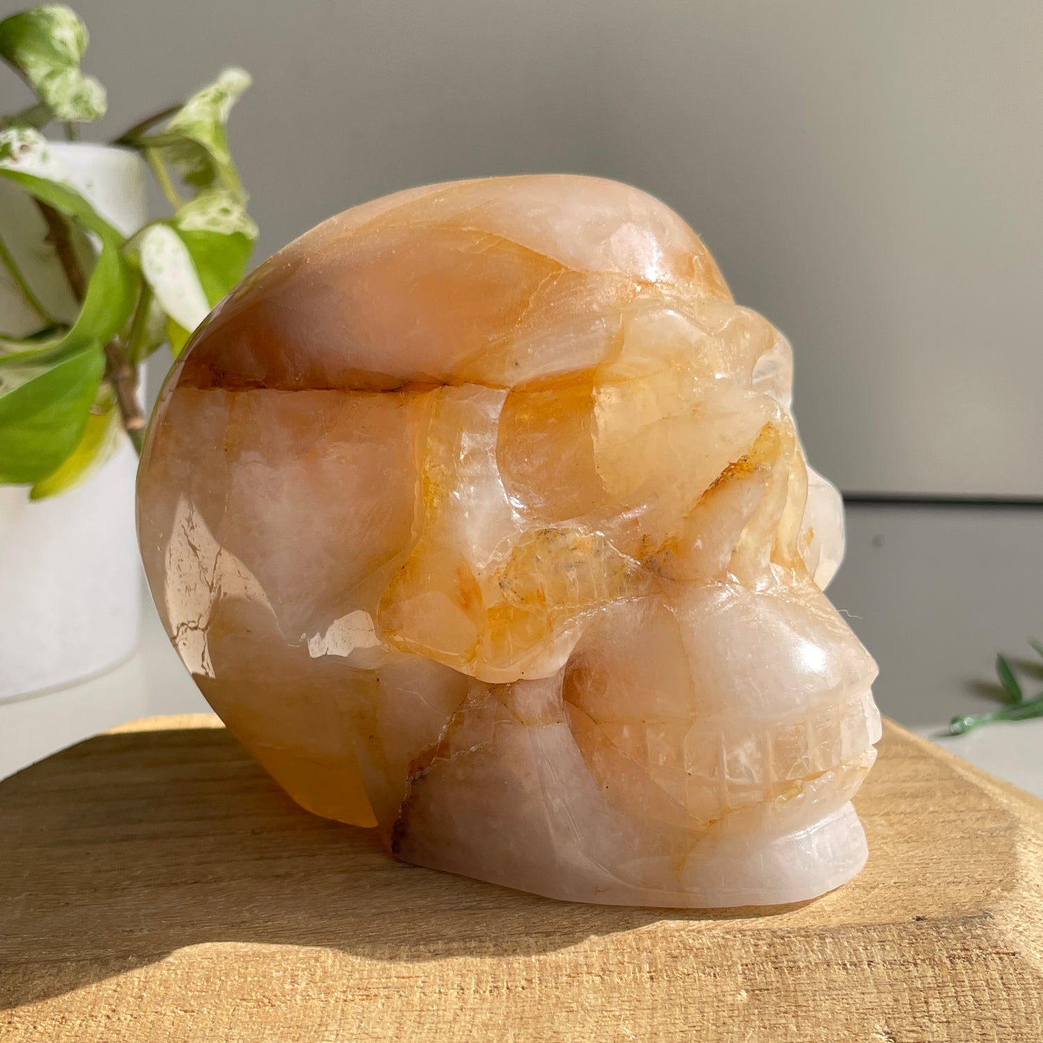 Golden Healer Quartz Skull 4