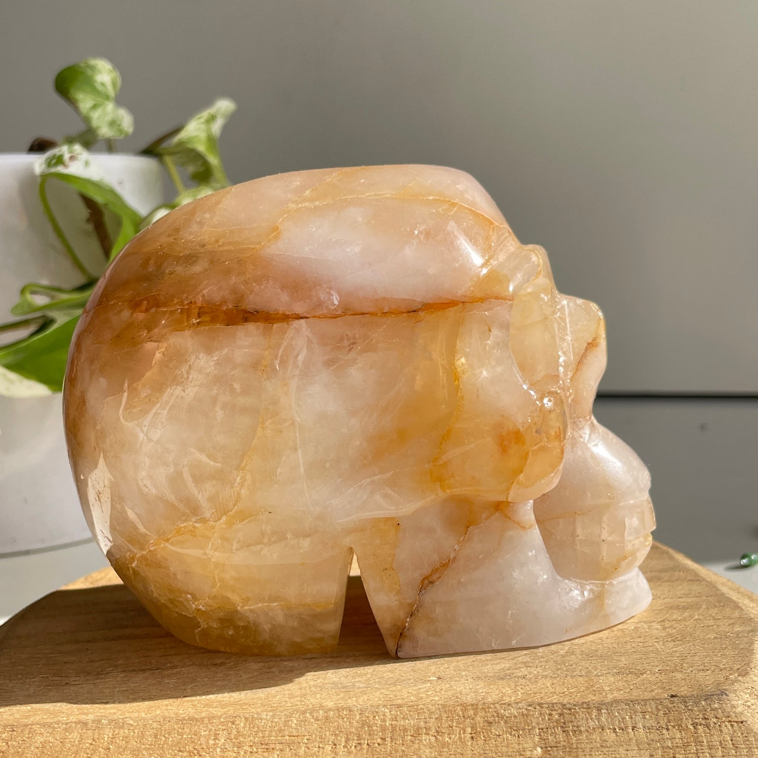 Golden Healer Quartz Skull 4