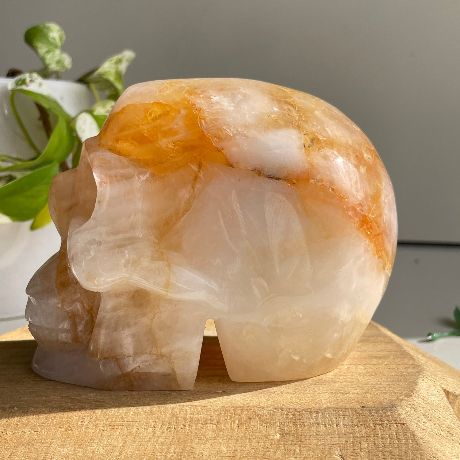 Golden Healer Quartz Skull 4