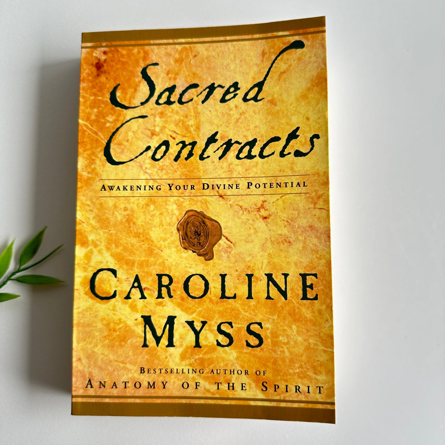Caroline Myss Sacred Contracts