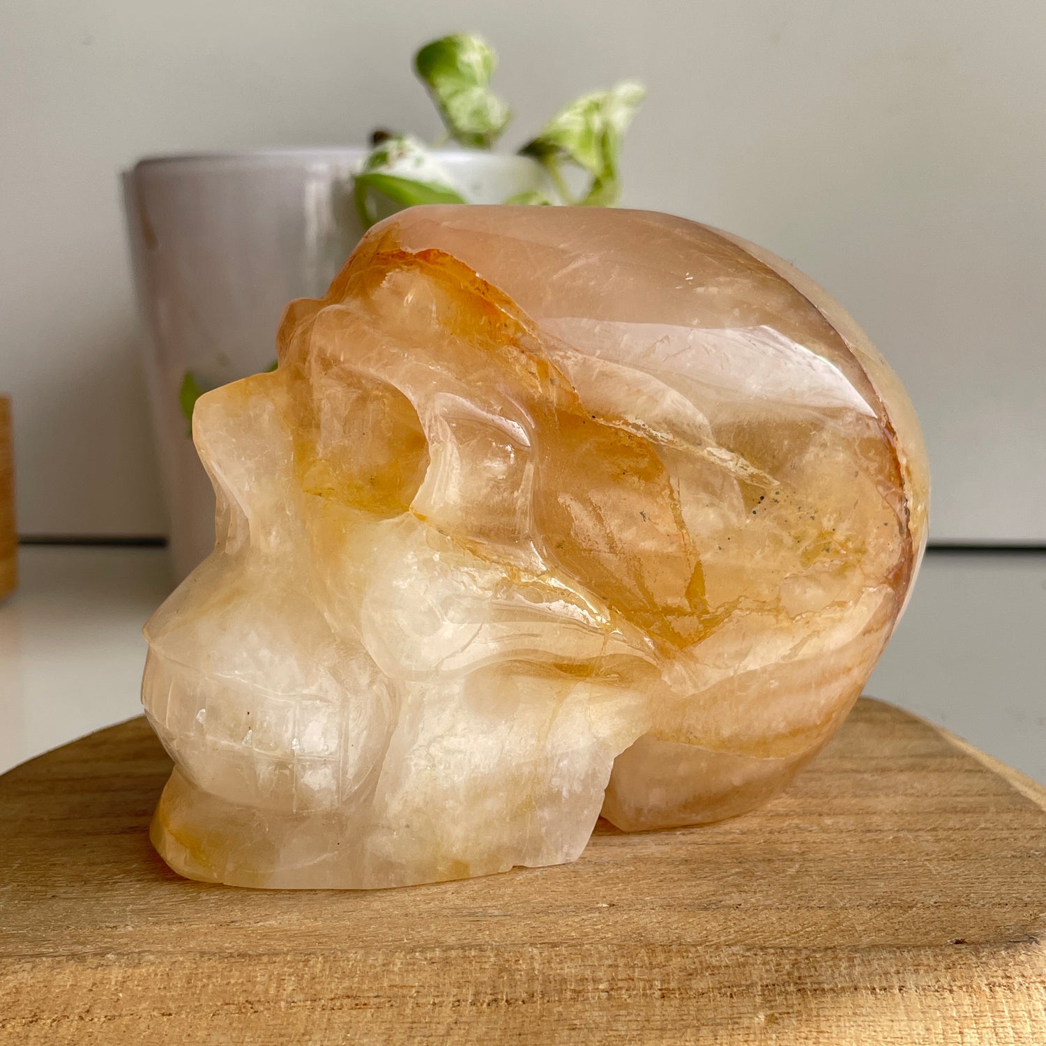 Golden Healer Quartz Skull 5