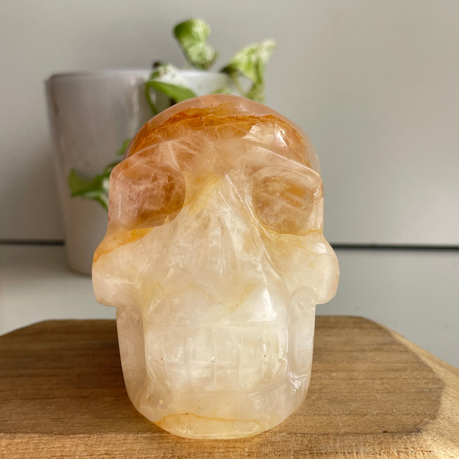 Golden Healer Quartz Skull 5