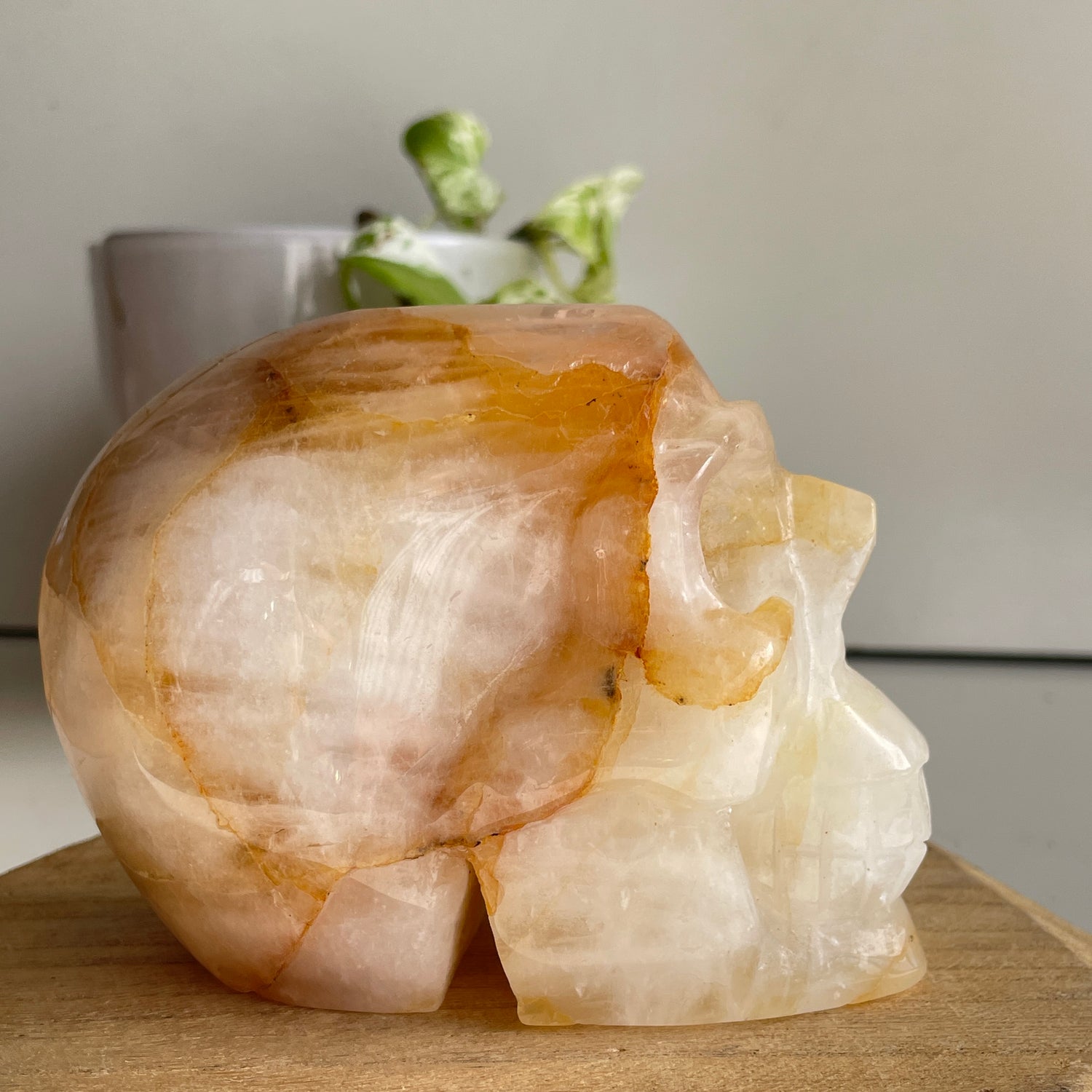 Golden Healer Quartz Skull 5