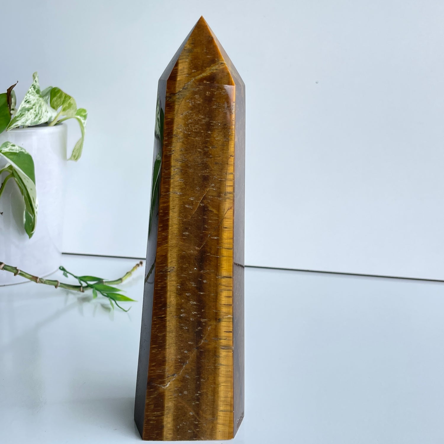Tigers Eye Generator 21.7cm