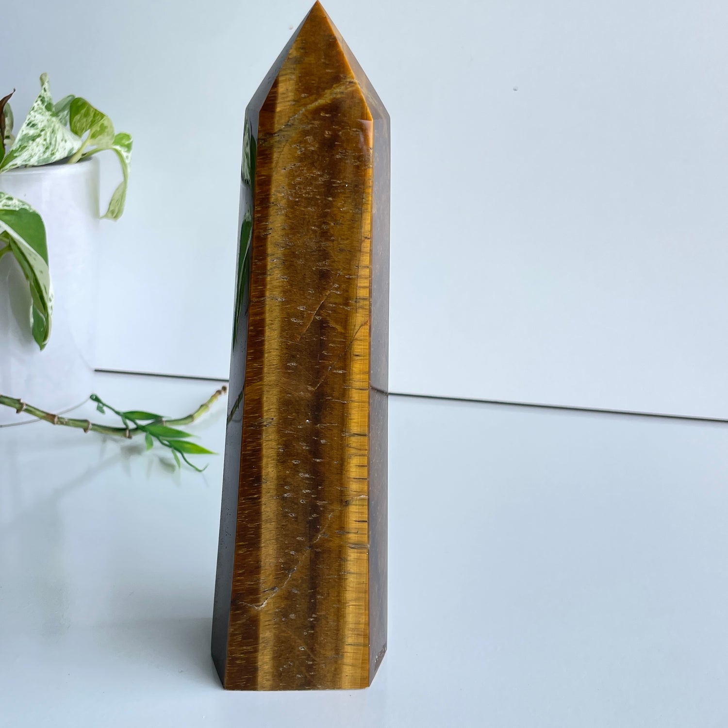 Tigers Eye Generator 21.7cm