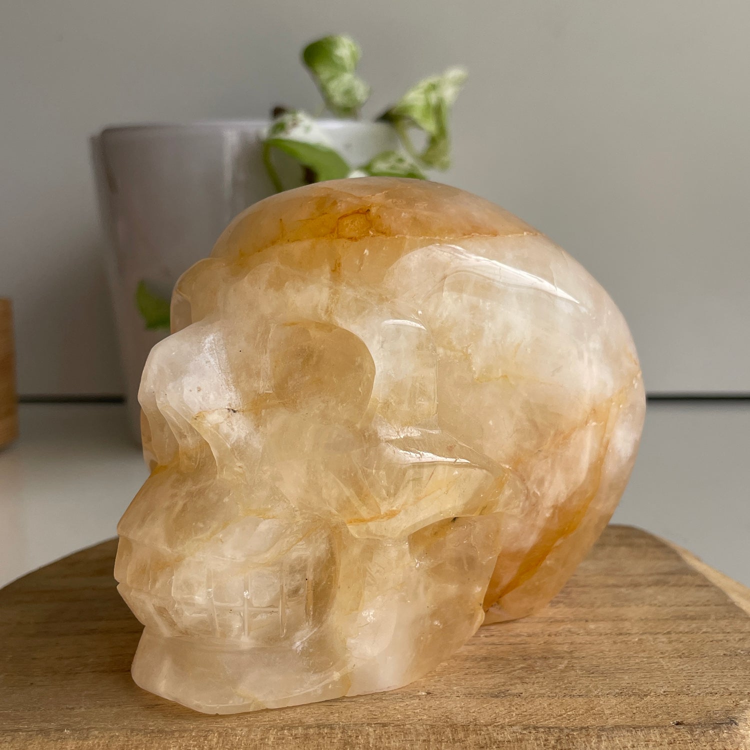 Golden Healer Quartz Skull 6