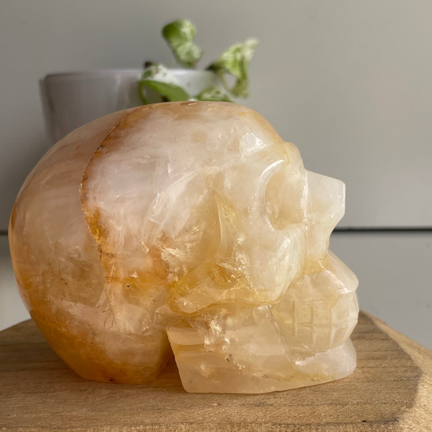 Golden Healer Quartz Skull 6